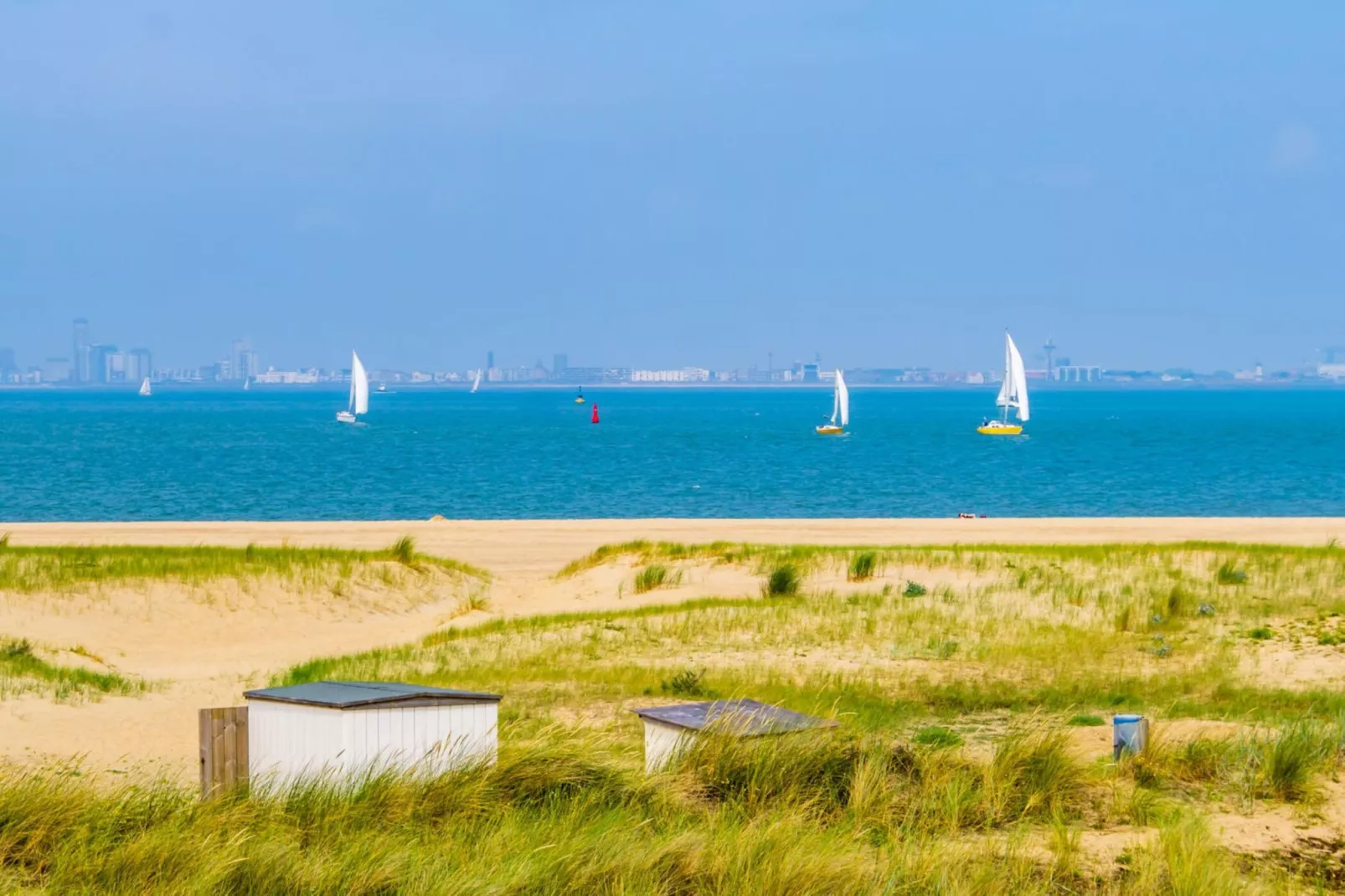 Schoneveld 232 Stern Breskens-Areas summer 5km