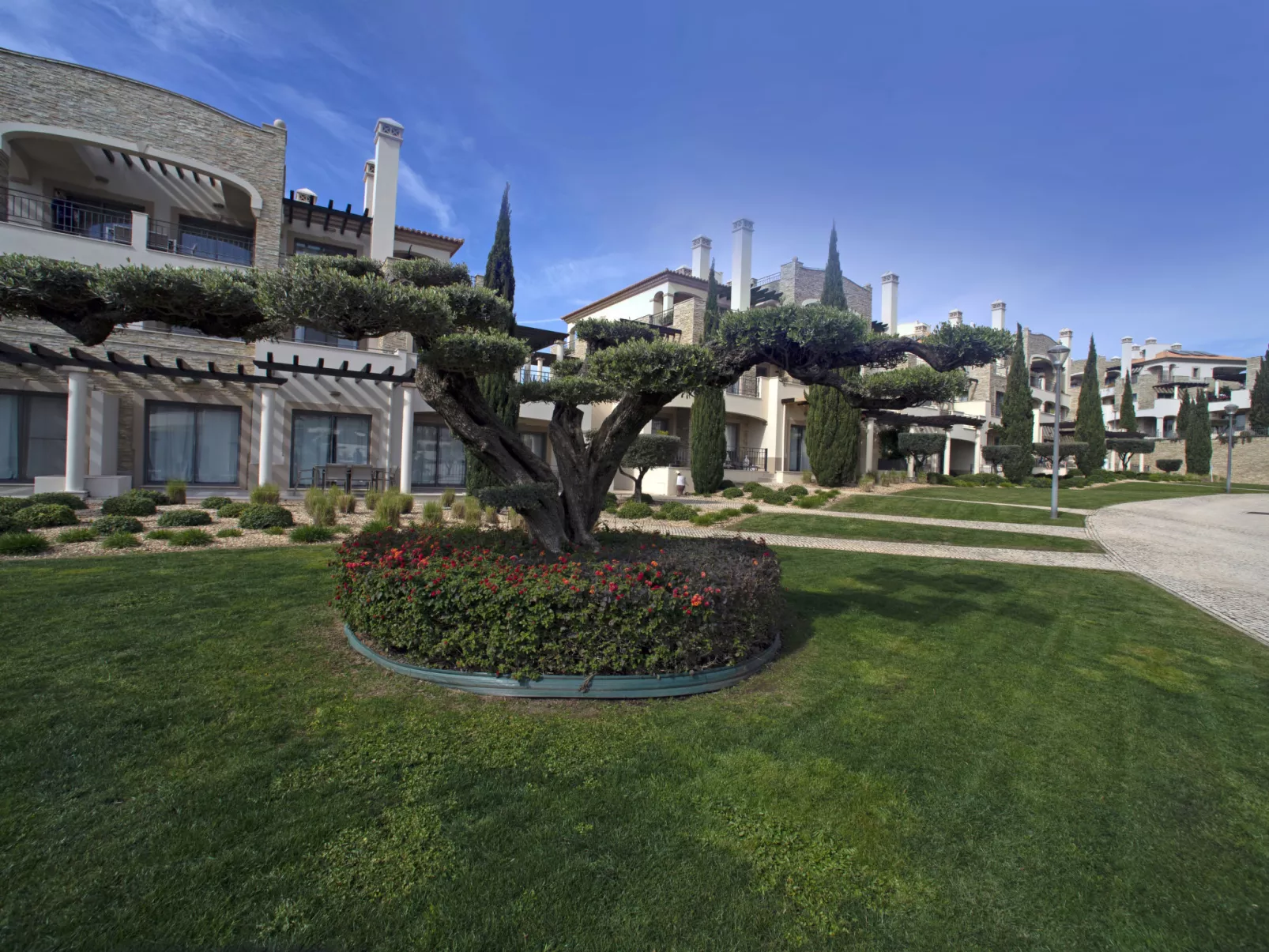 Pine Hills Diadema-Outside