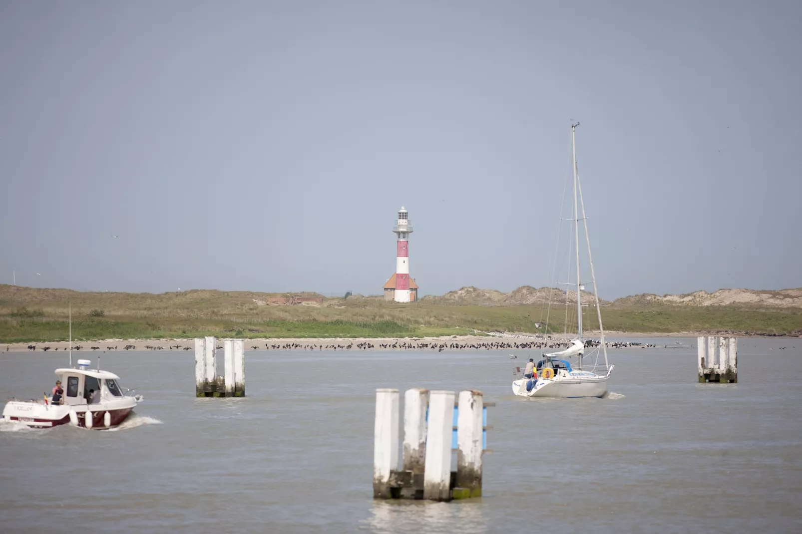 SEASIGHT A 0704GAR-Areas summer 5km