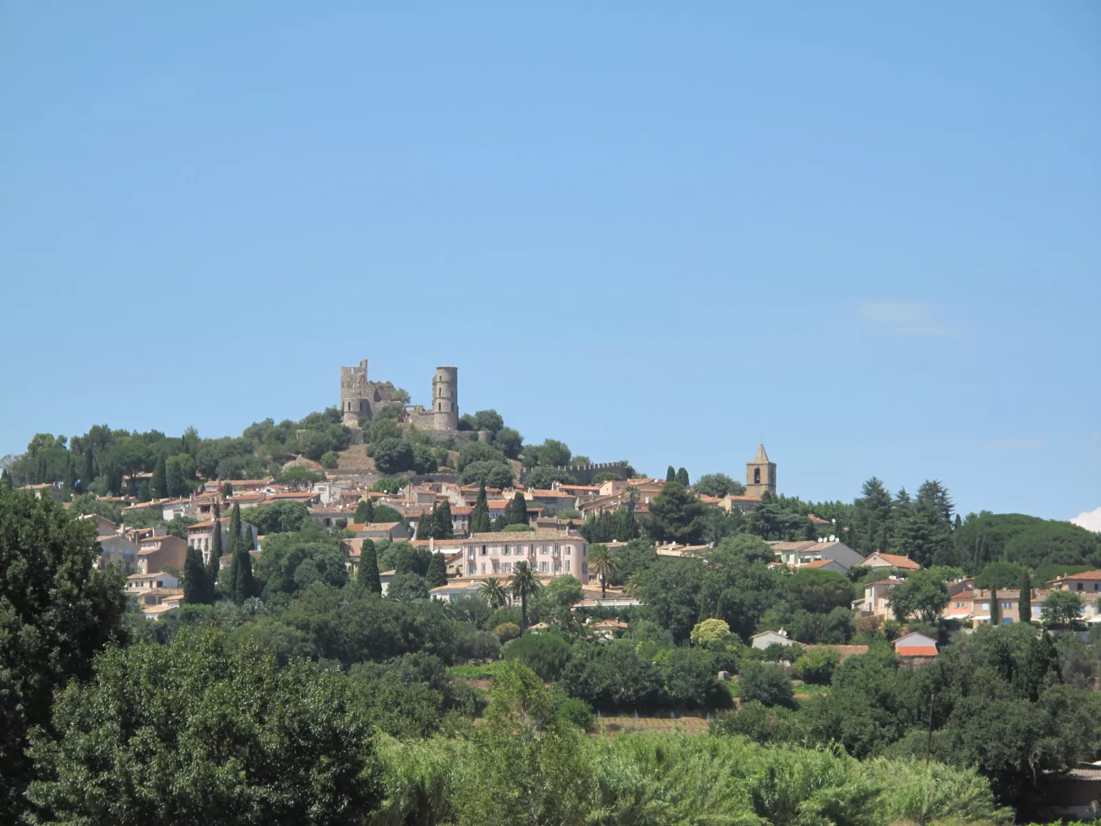 Les Mûres mûres-Area