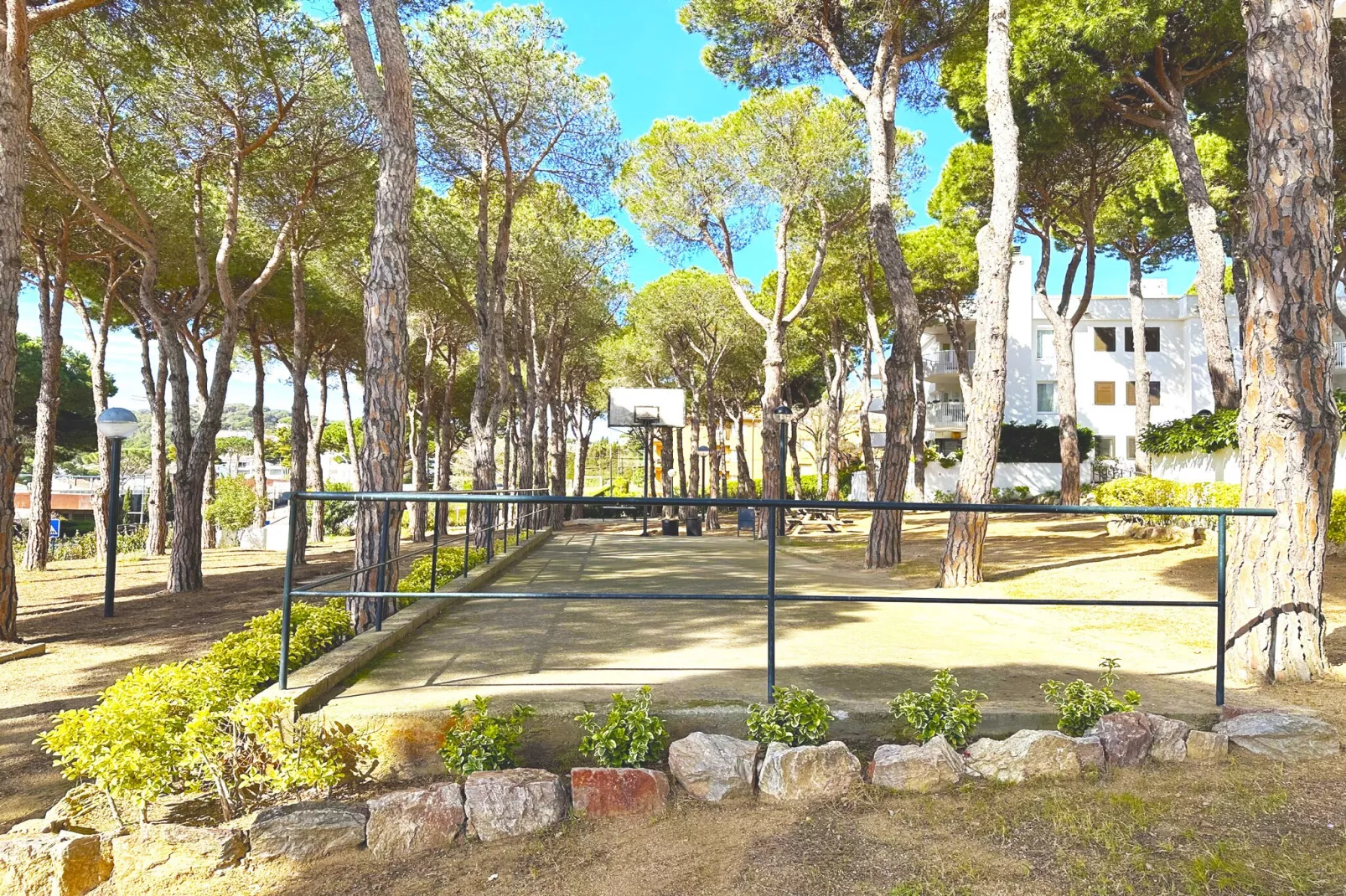 Pericot-Areas summer 1km