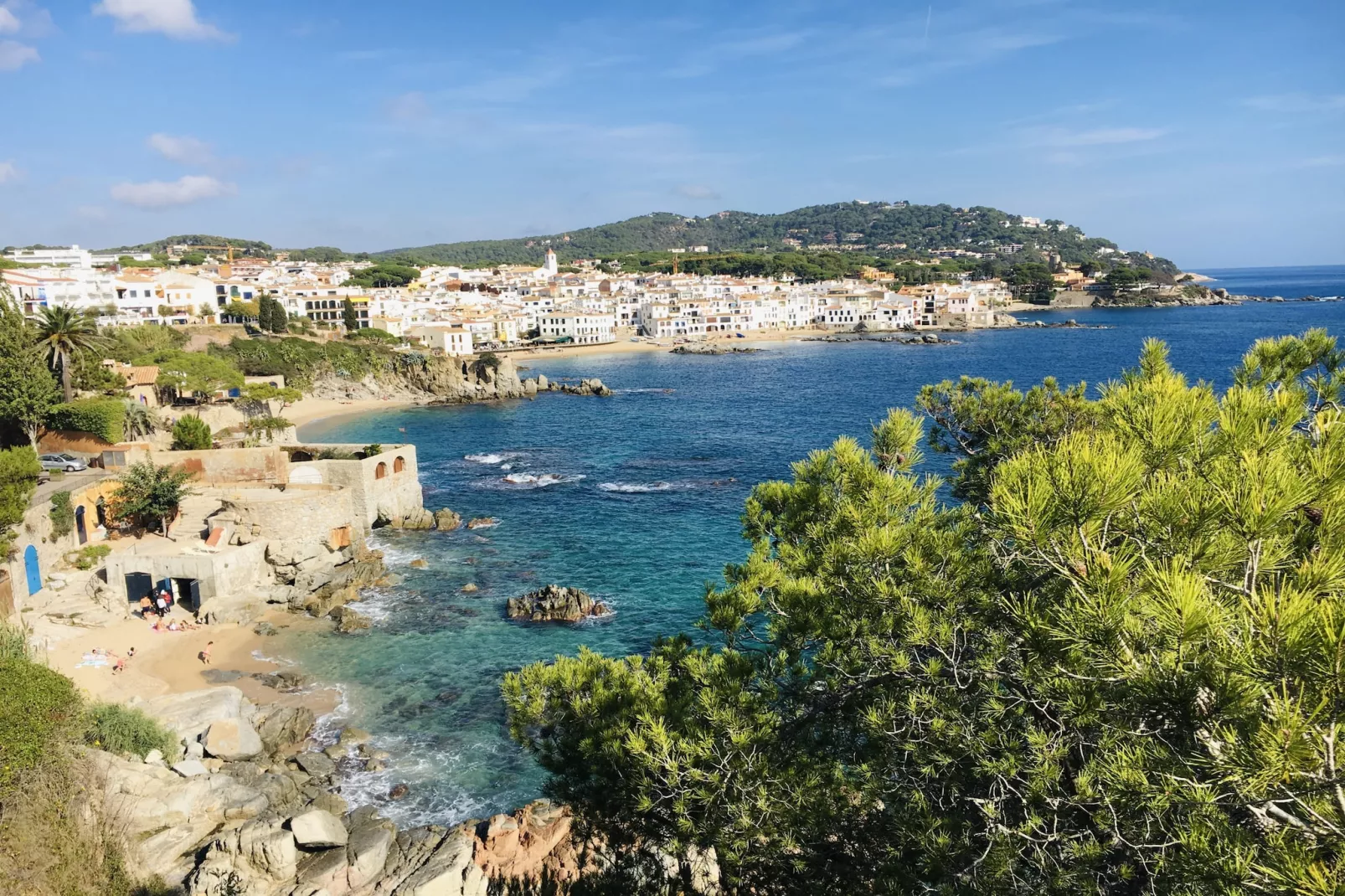 Ancora 04-Areas summer 5km