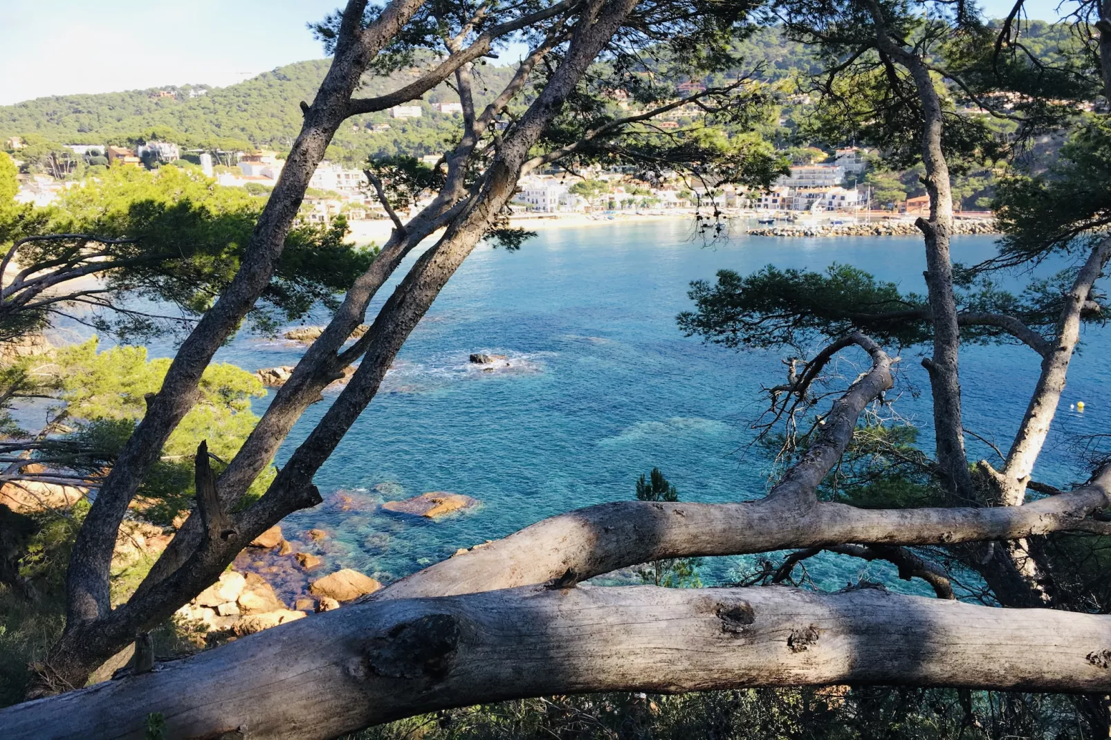 Ancora 04-Areas summer 5km