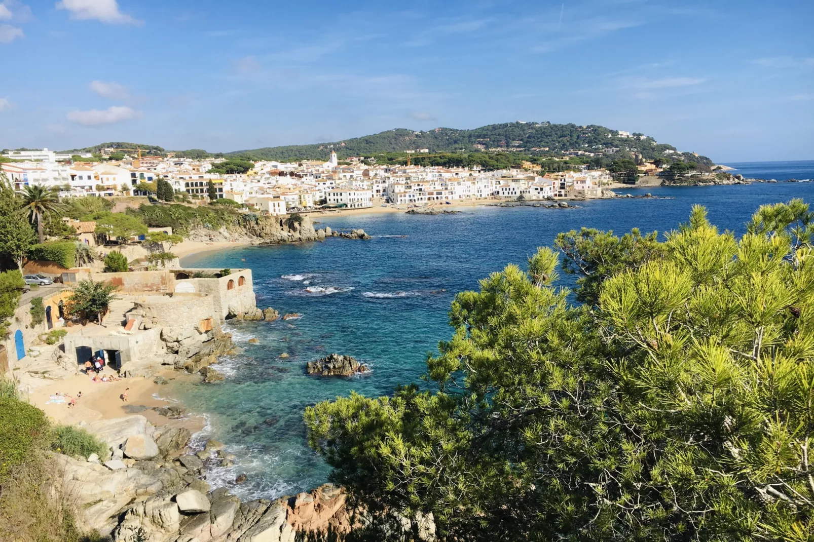 Ancora 12-Areas summer 20km