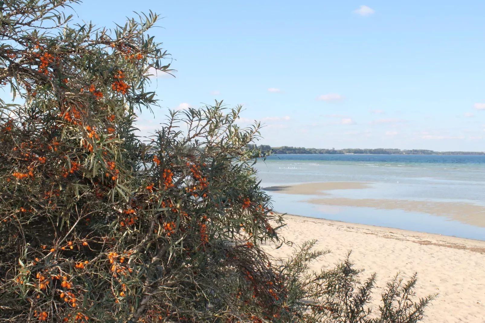 Andrea-Areas within 20km in summer