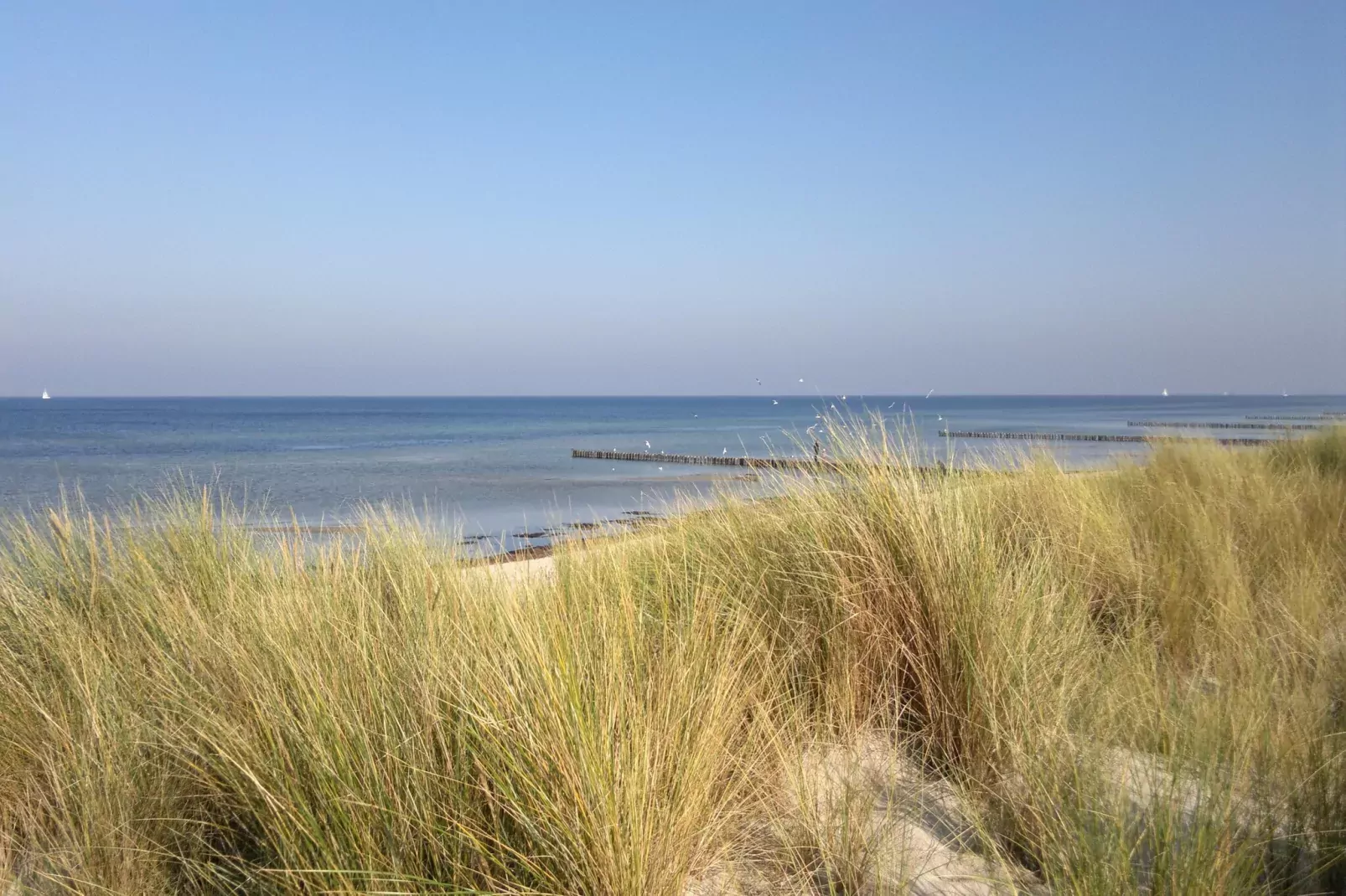 Strandnahes Ferienhaus Walter mit Meerblick-Gym