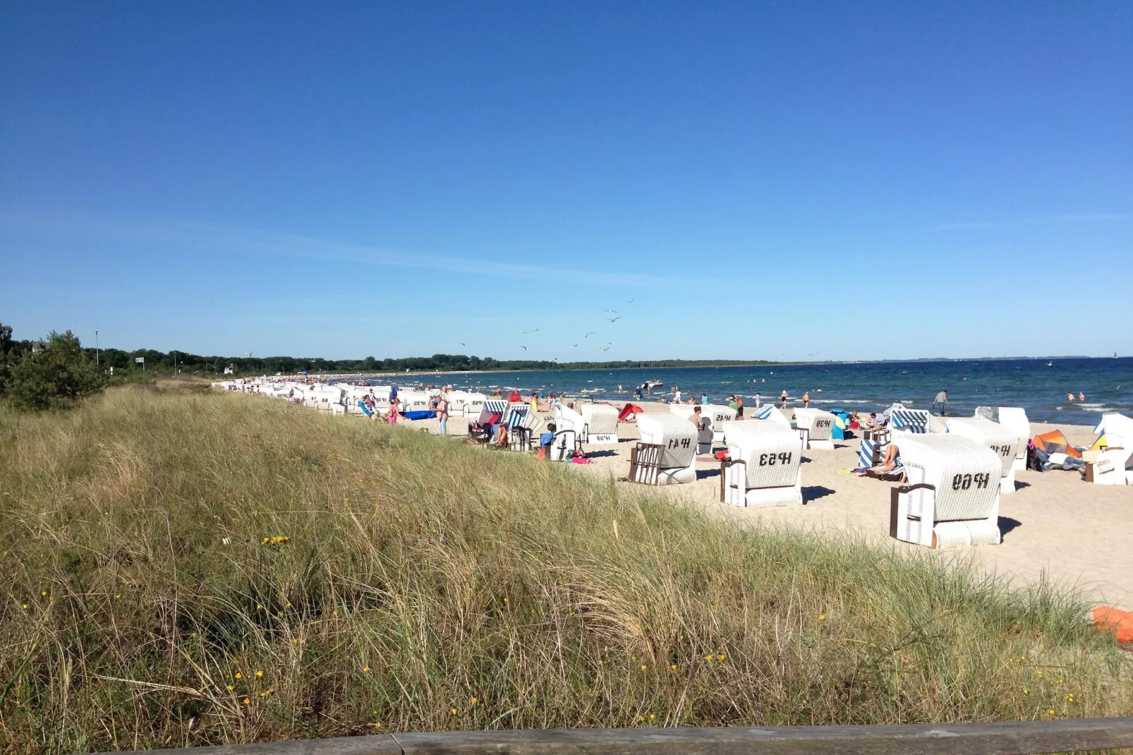 Anja Nr 1-View summer