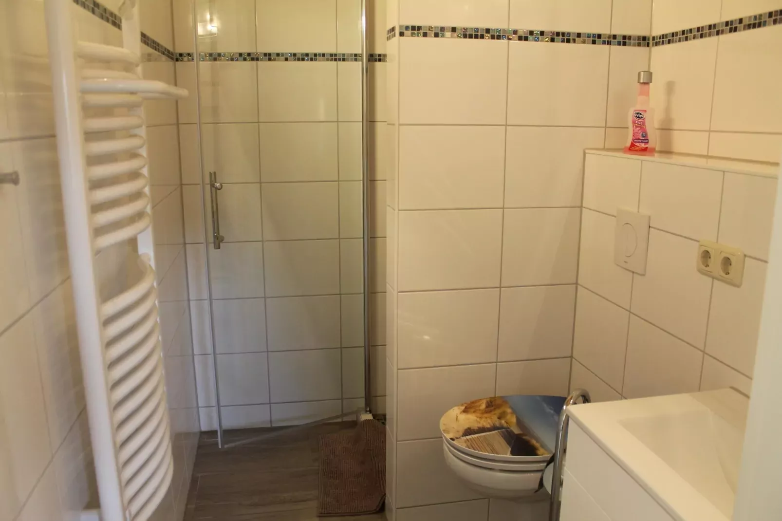 Ferienhaus Heidenholz-Badezimmer