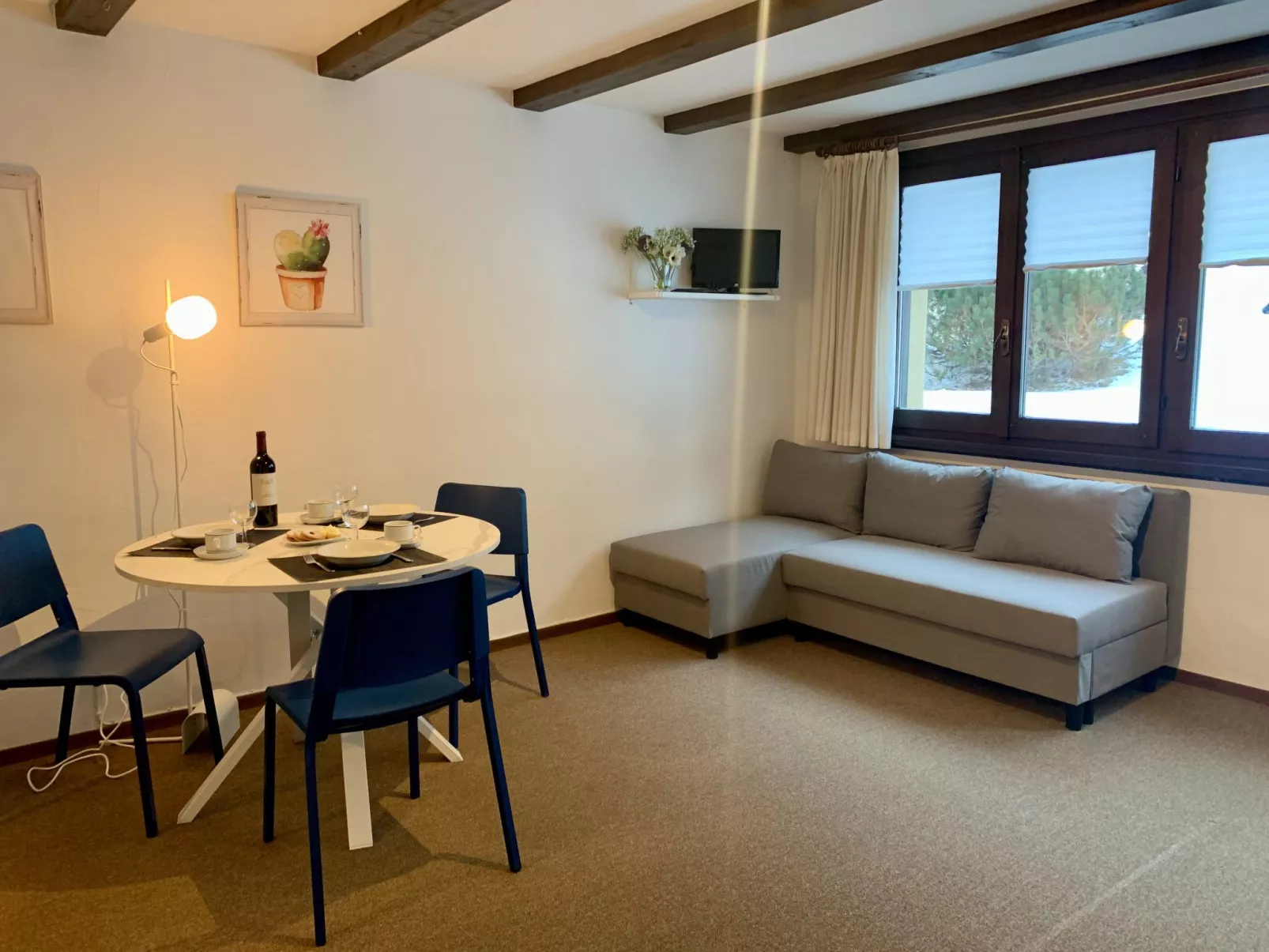 Apt. 33-1-Inside
