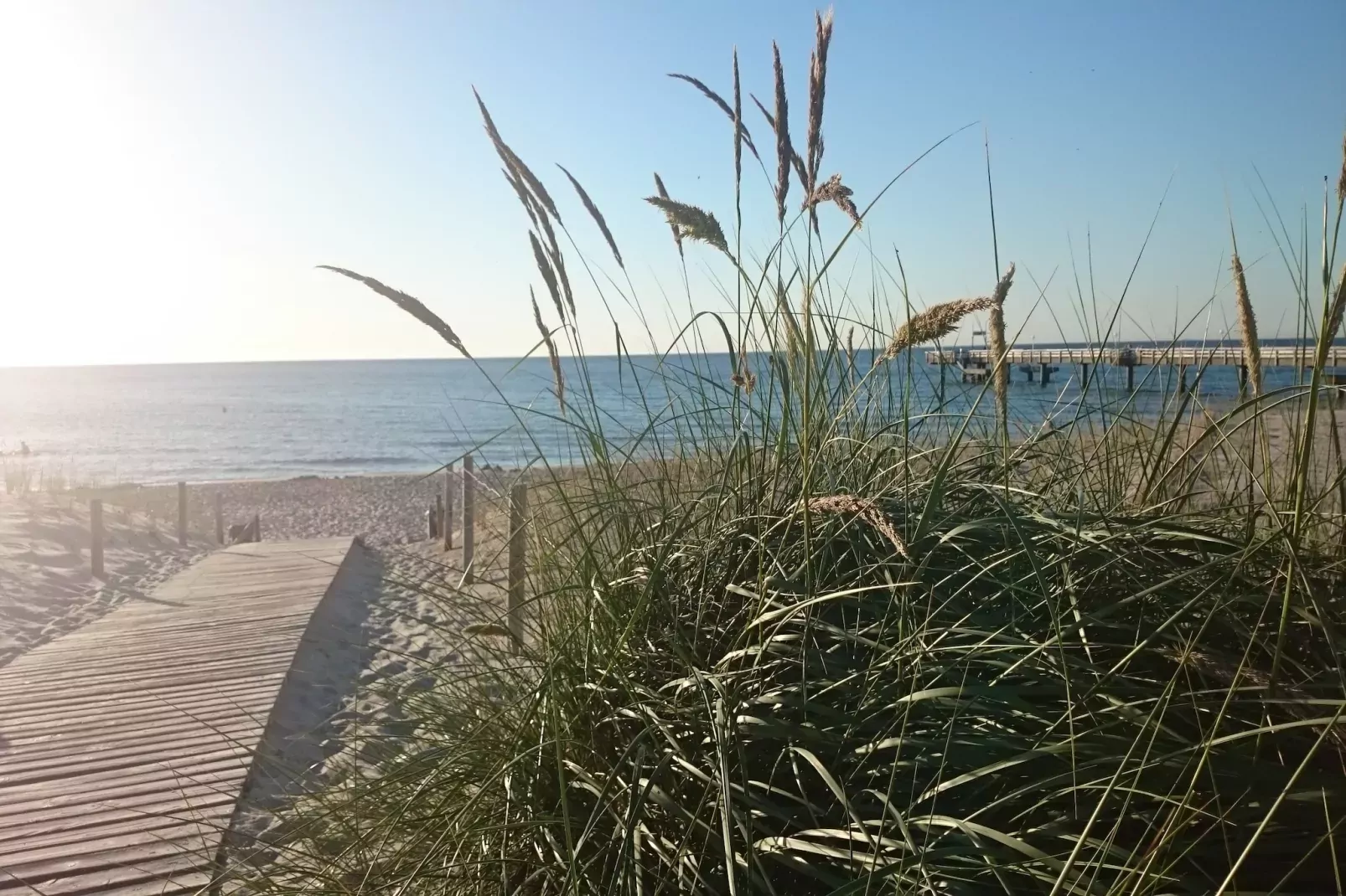 Reetdach-Areas summer 20km