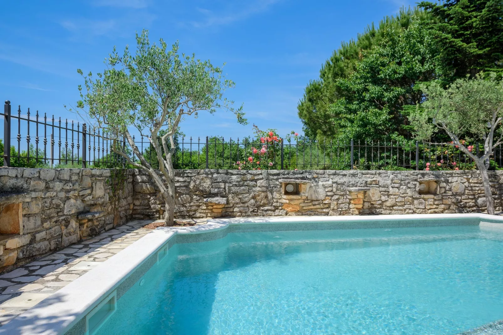 Casa Biguli-Pool