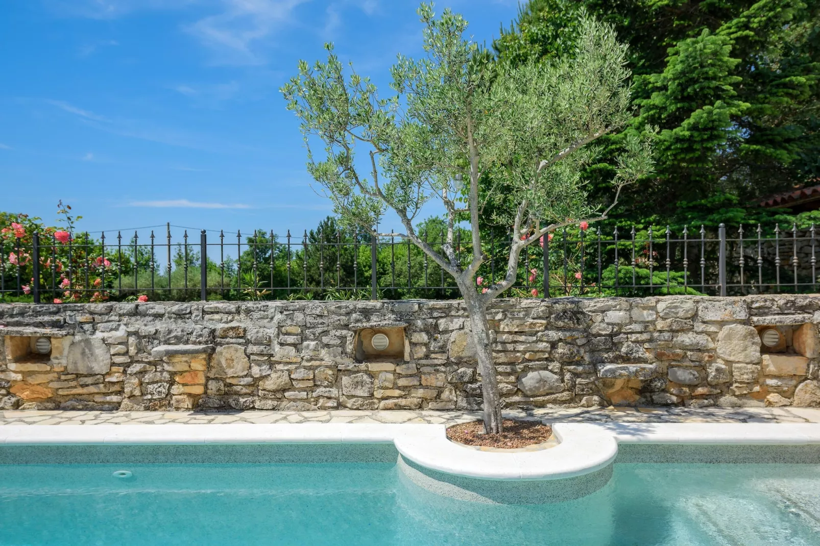 Casa Biguli-Pool