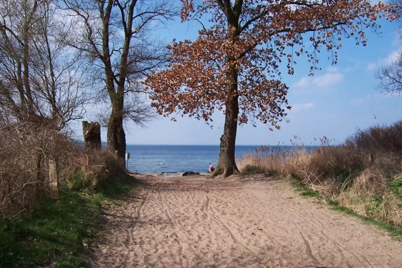 Ferienwohnung mit Terrasse im Klützer Winkel-Gebiete Sommer 5 km