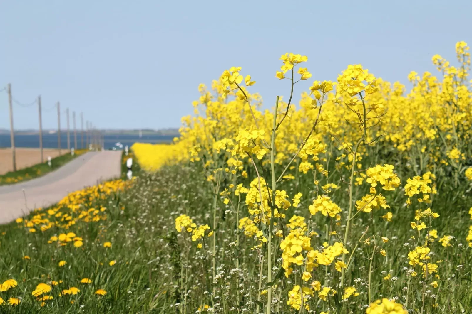 Ferienzimmer im Birkenweg-Zones d'été à 1 km