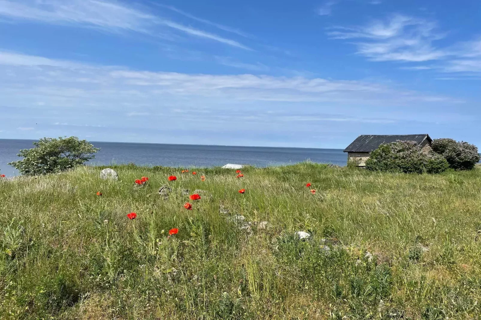 5 star holiday home in Löttorp-Not tagged