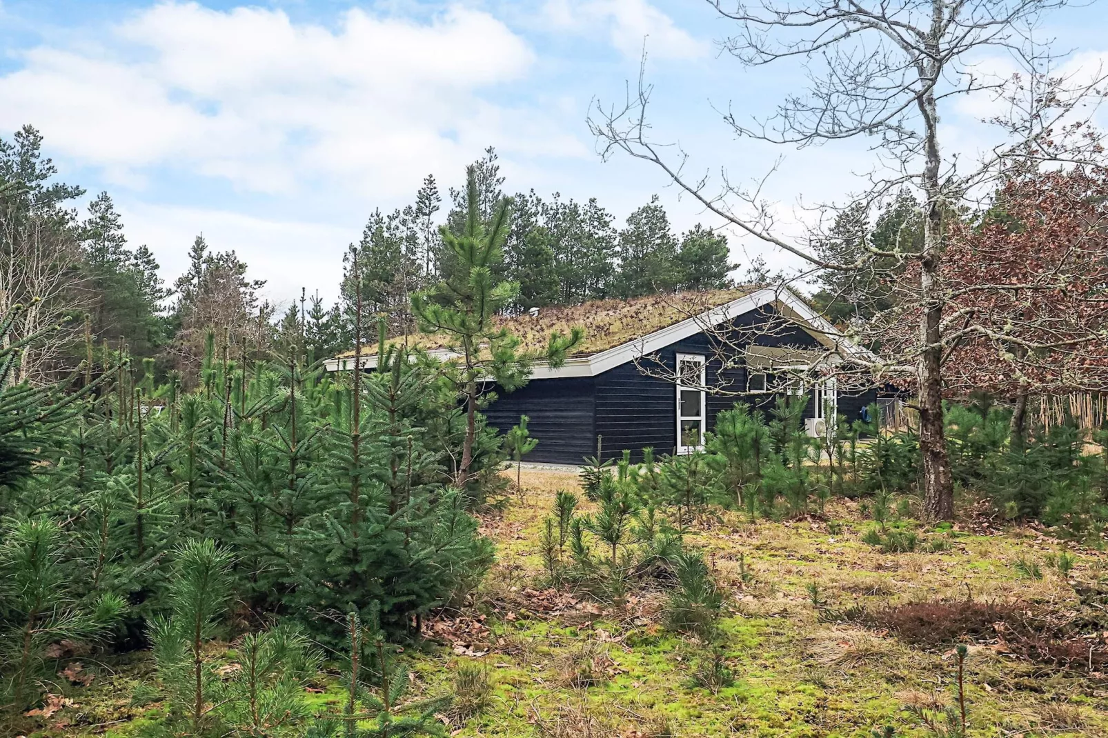 6 person holiday home in Blokhus-View