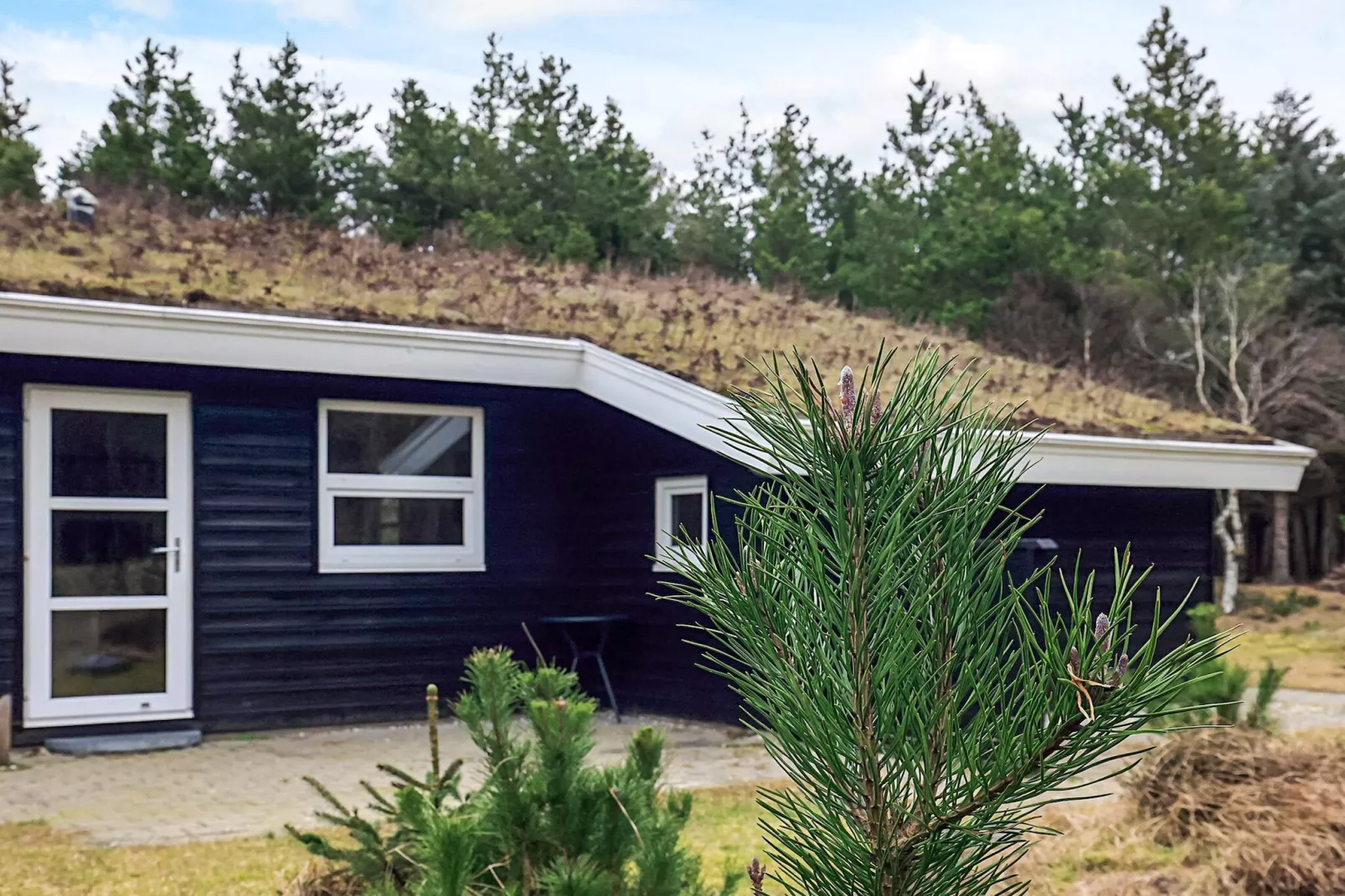 6 person holiday home in Blokhus-View