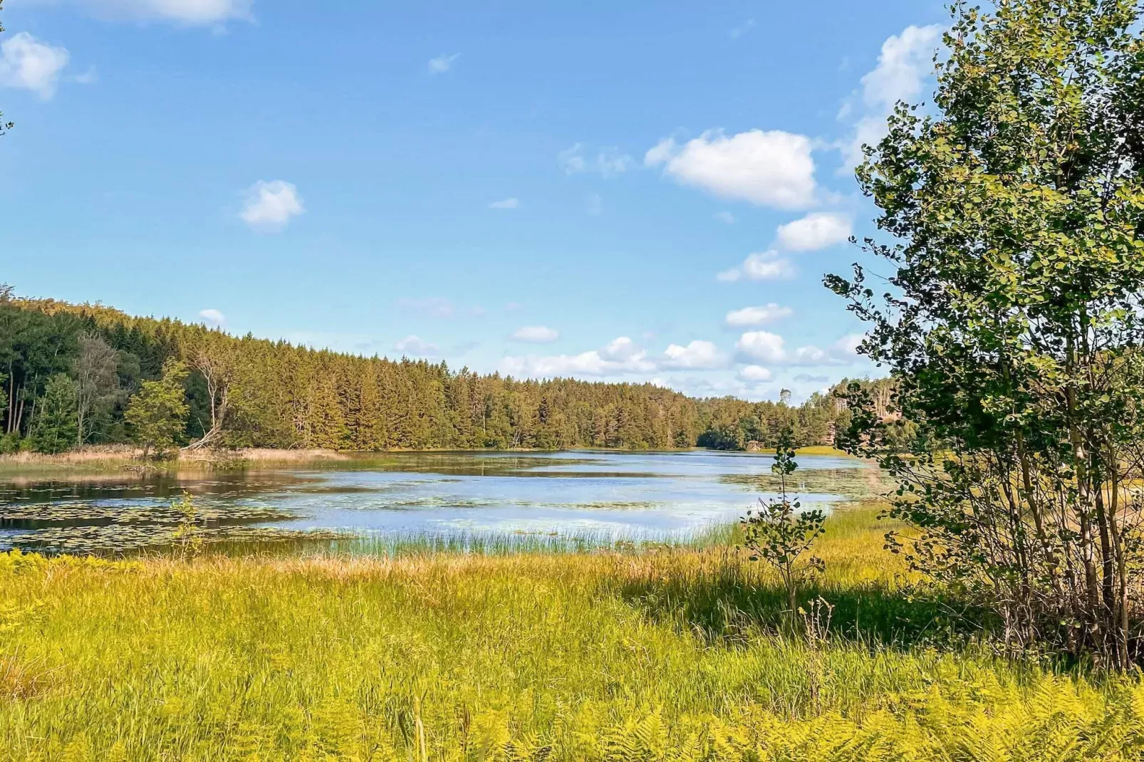 4 star holiday home in LJUNGSKILE-Not tagged