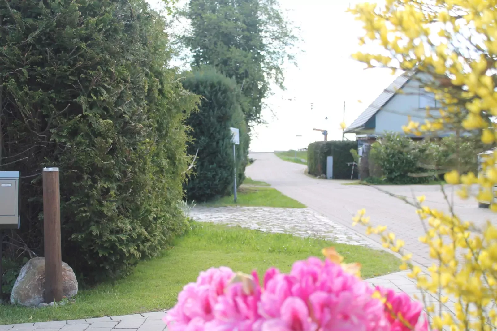 Das DarßHaus mit Kamin und Garten-Areas summer 1km
