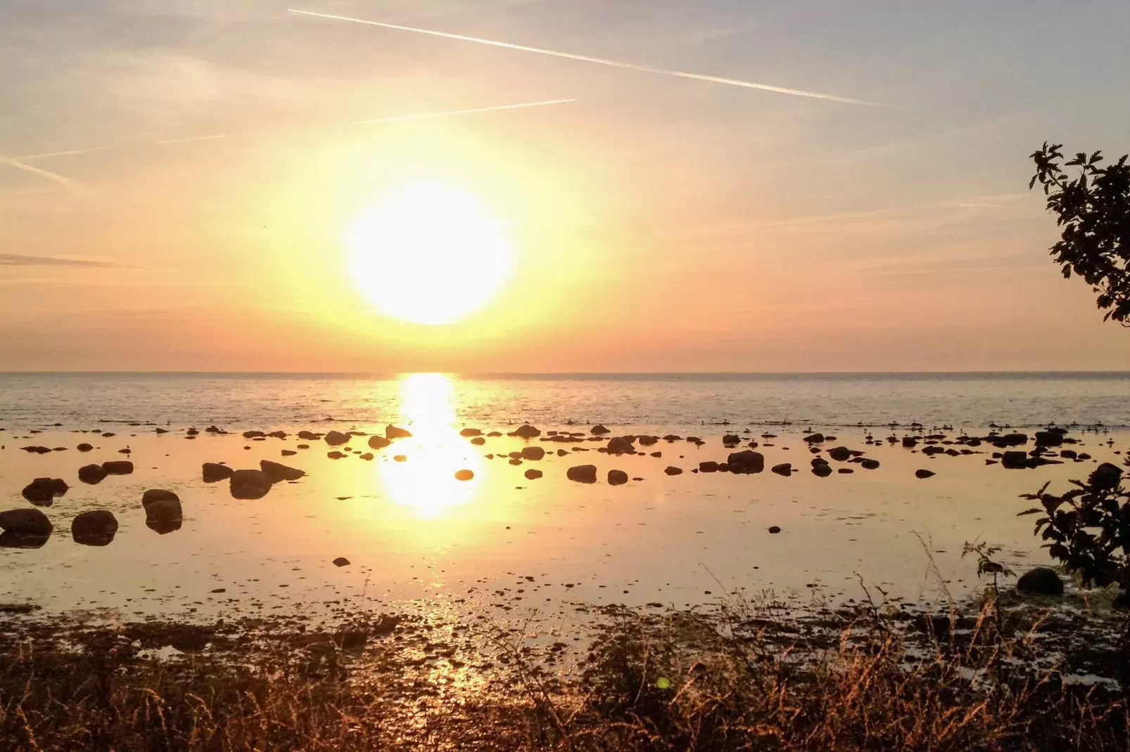 4 etoiles maison de vacances a VISBY-Non étiqueté