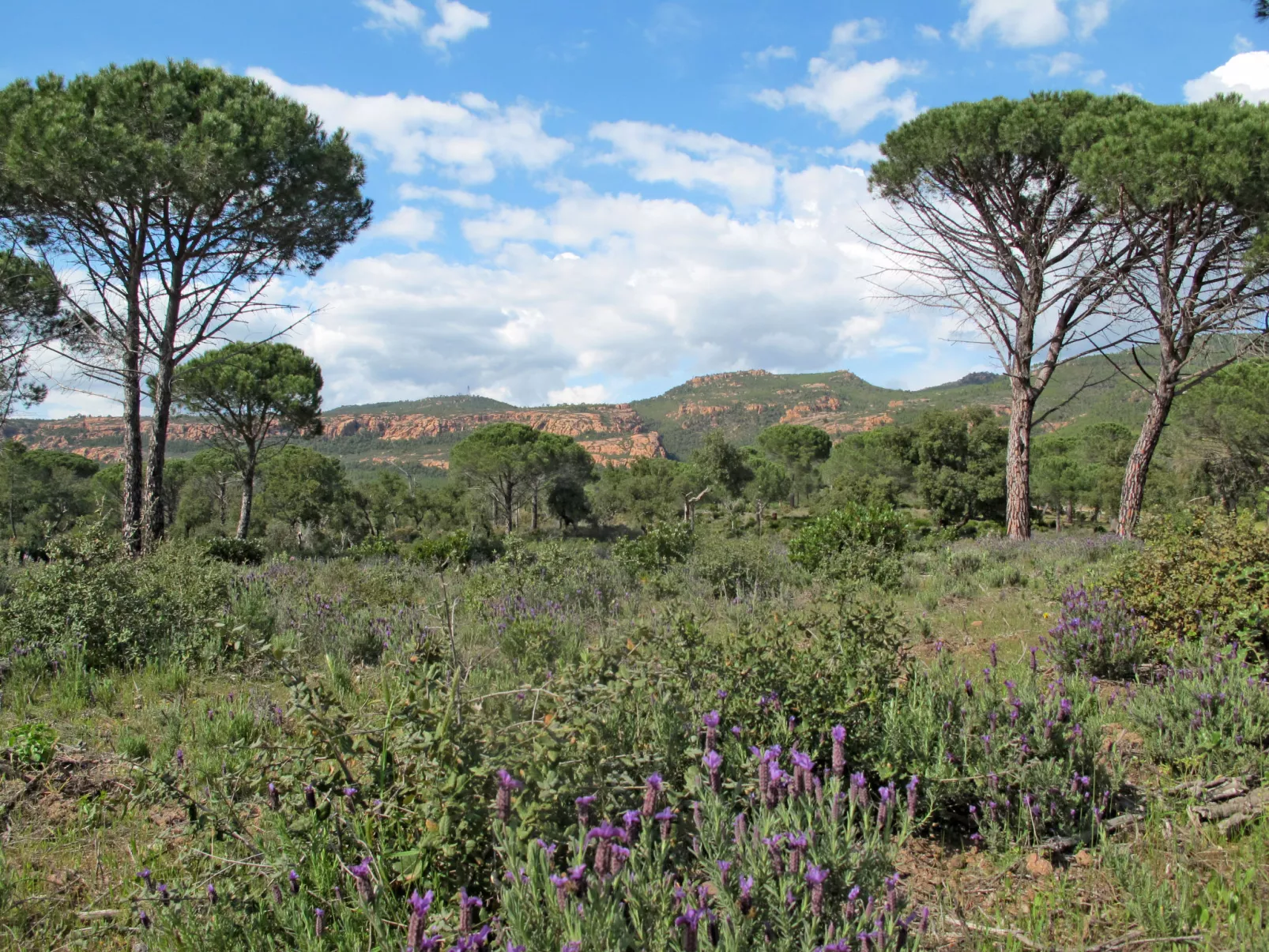 Les Domaines de St. Endréol-Area