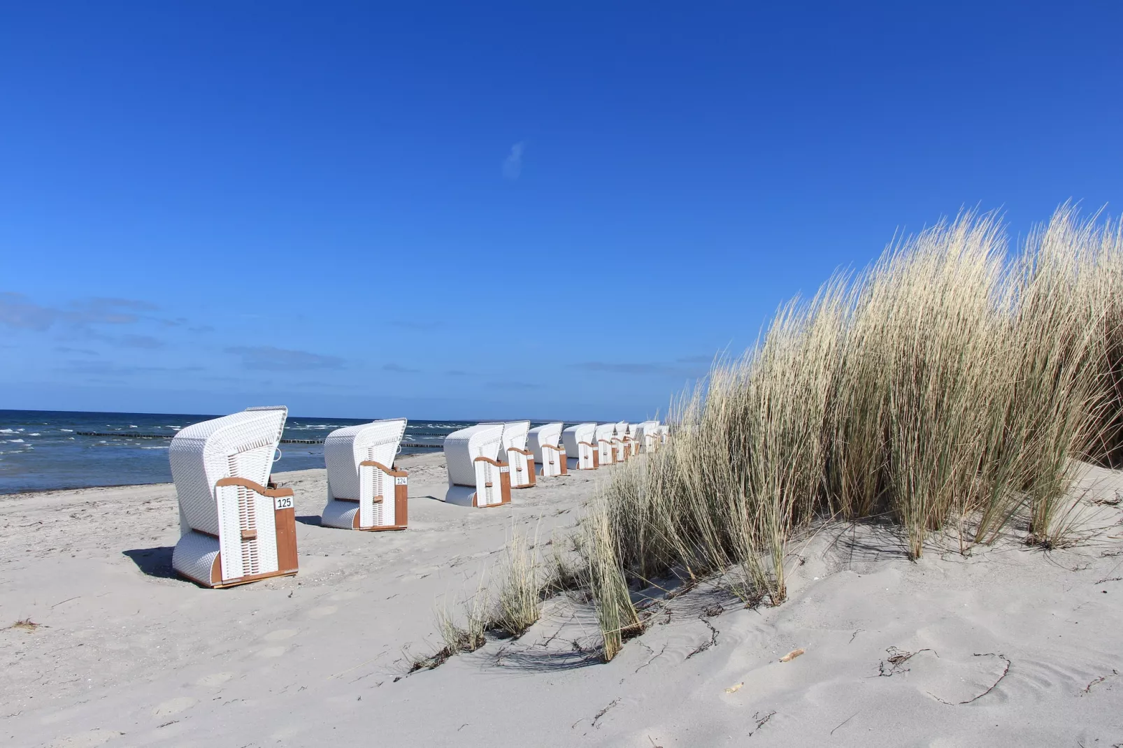 Ferienwohnung Insel Poel 22-Areas summer 1km