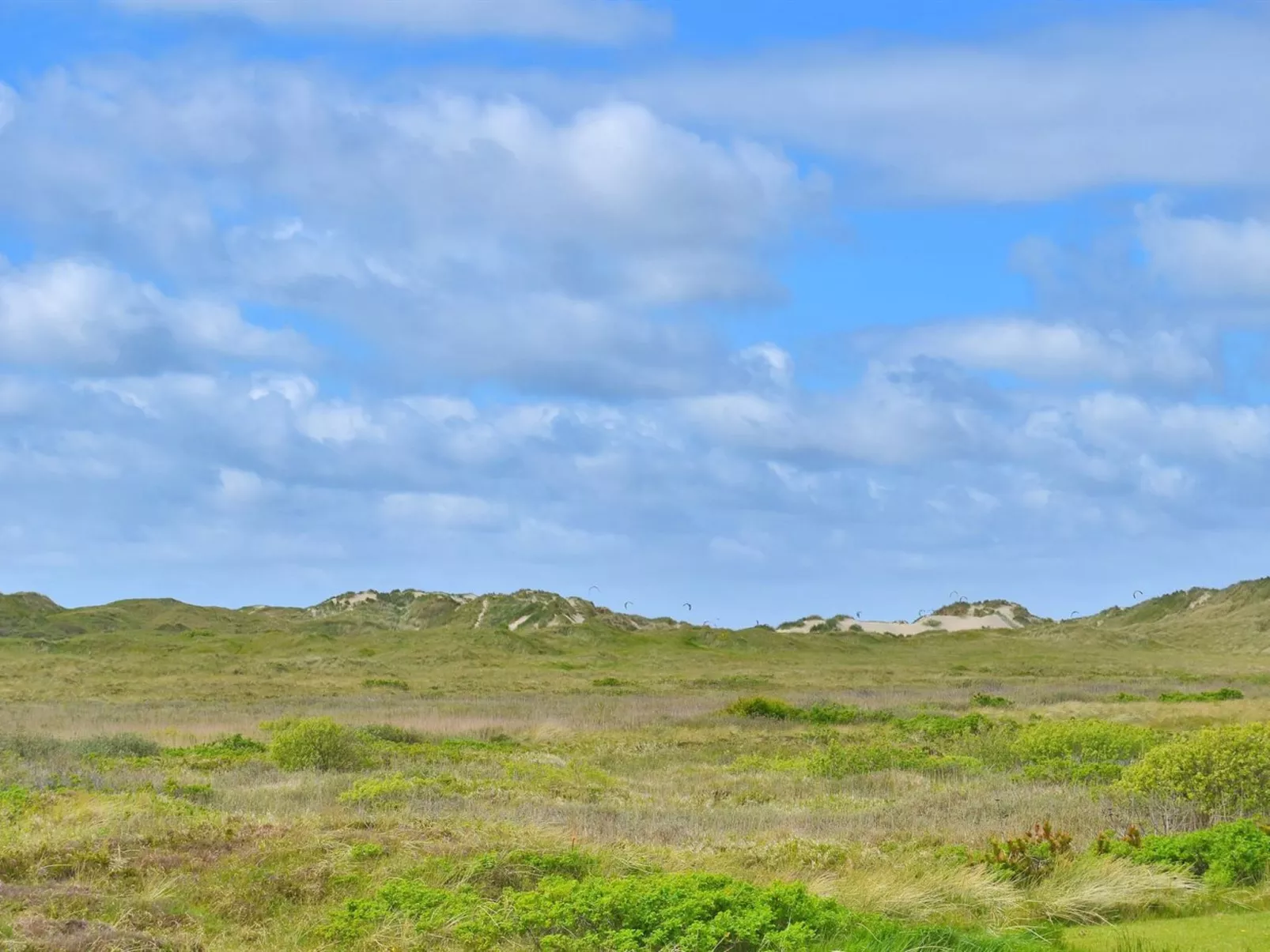 "Sohvi" - 450m from the sea-Outside