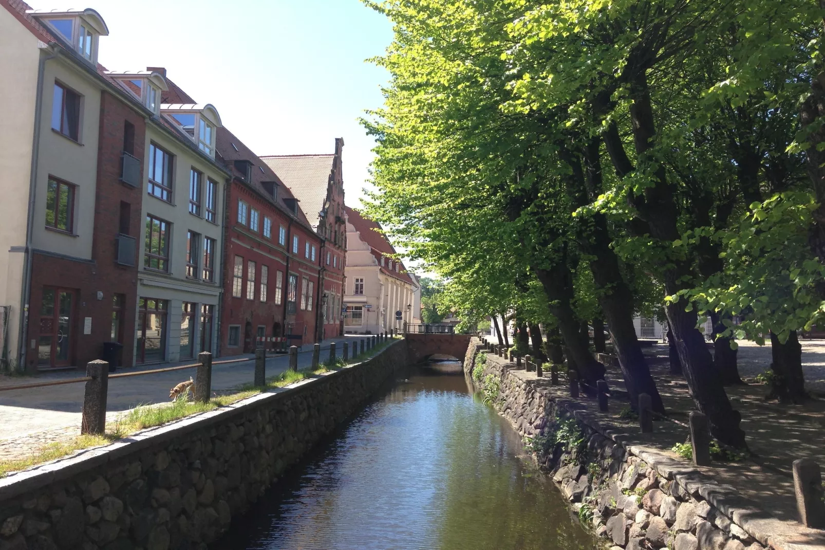 Zierow Z2C-Gebiete Sommer 5 km