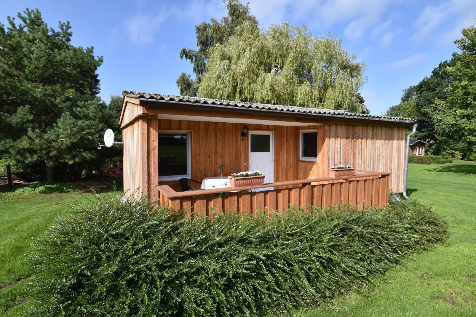 Bungalowanlage Gänseblümchen 2-Exterior summer