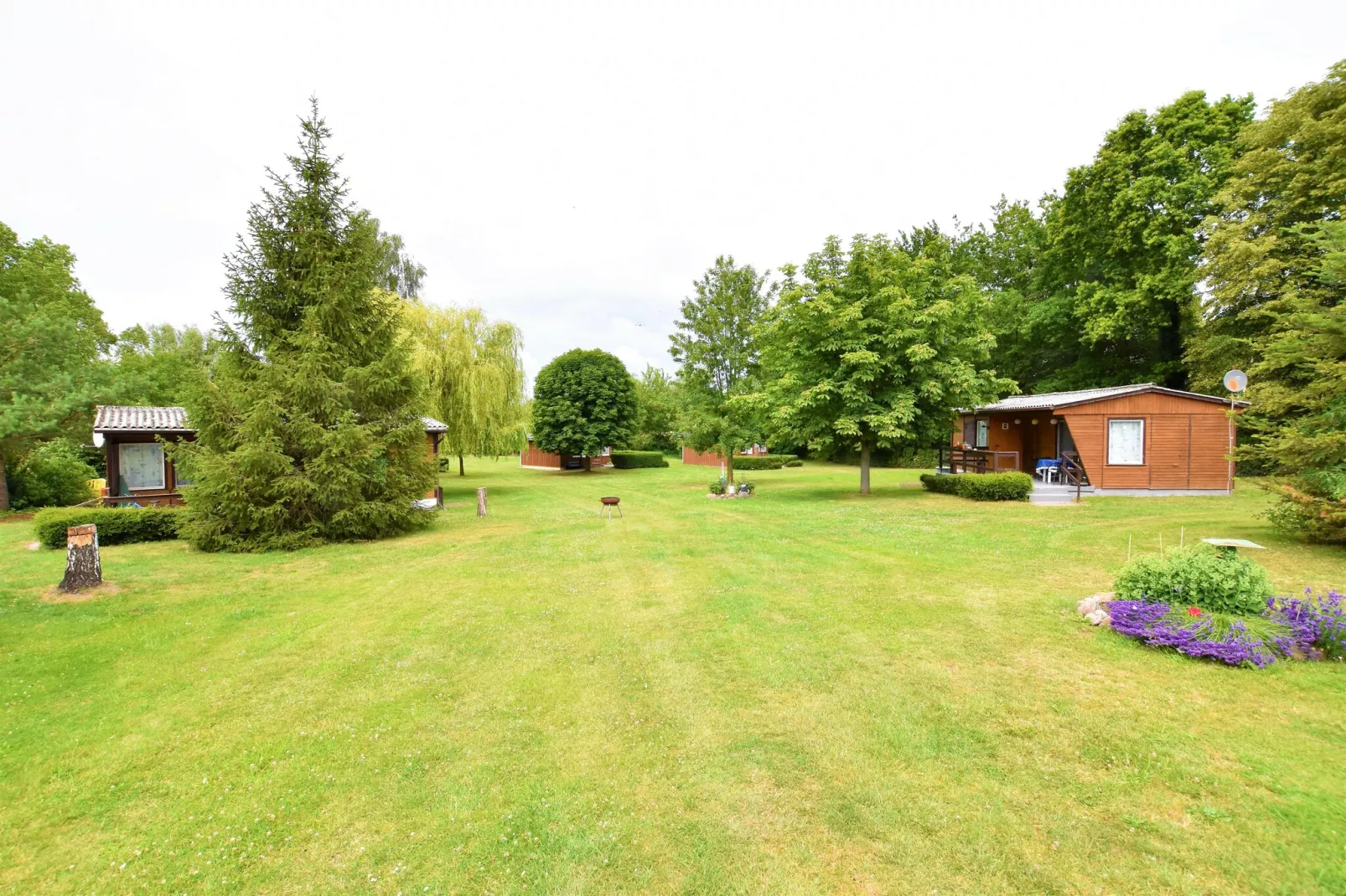 Bungalowanlage Gänseblümchen 7-Areas summer 5km