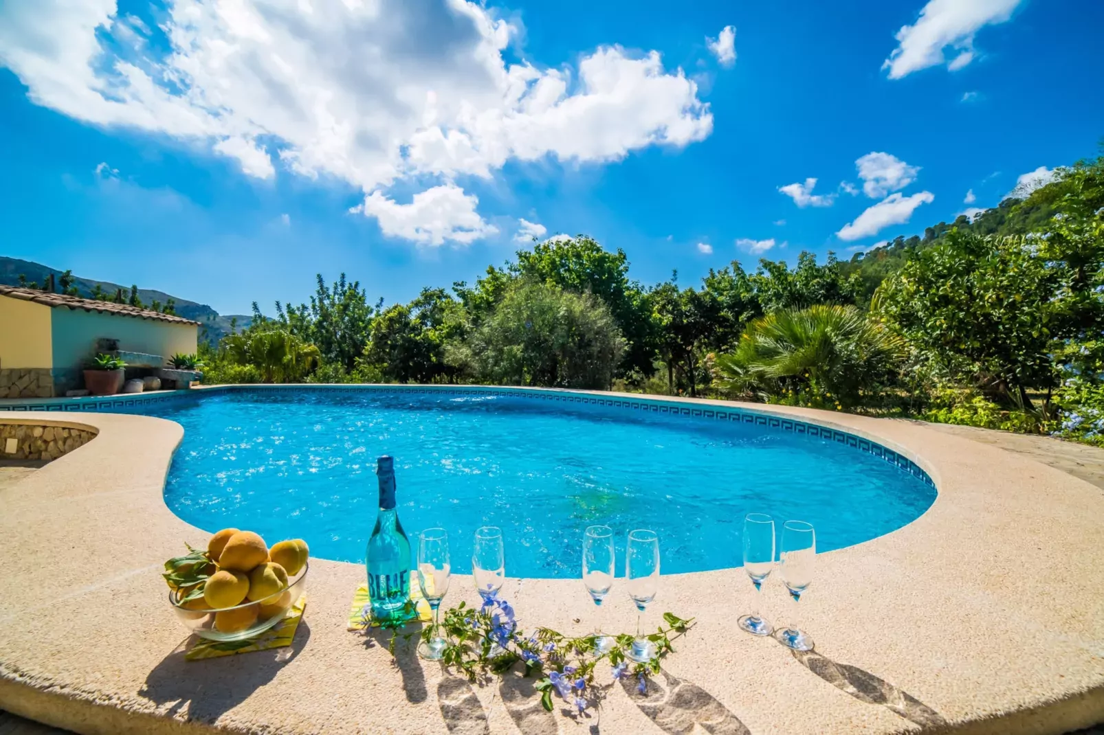 Ca Na Patufa-Piscine