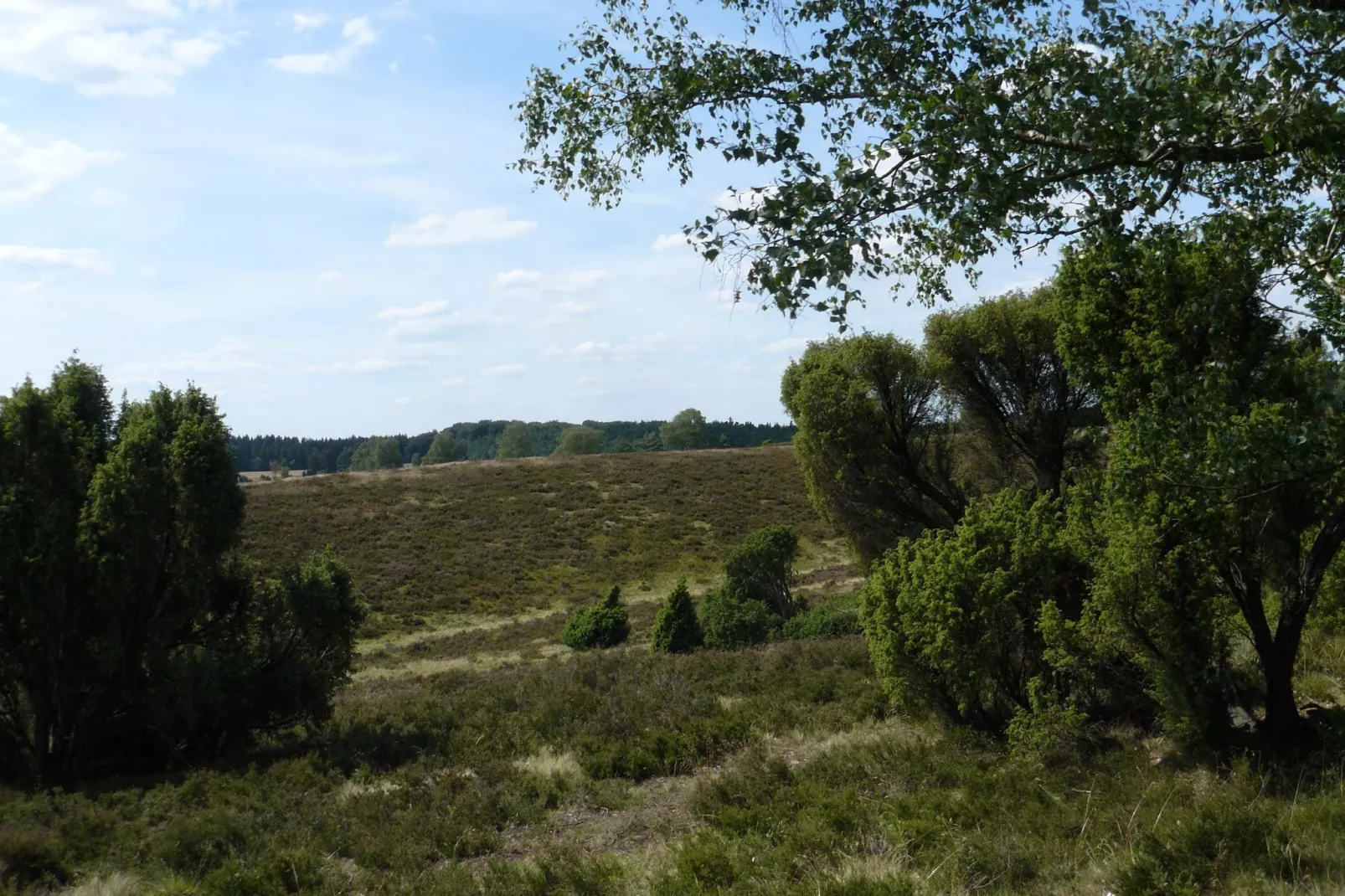 Ericaheidepark-Areas summer 20km