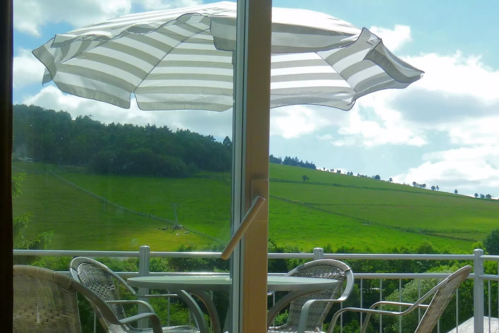 Appartement Willingen-Terrace balcony