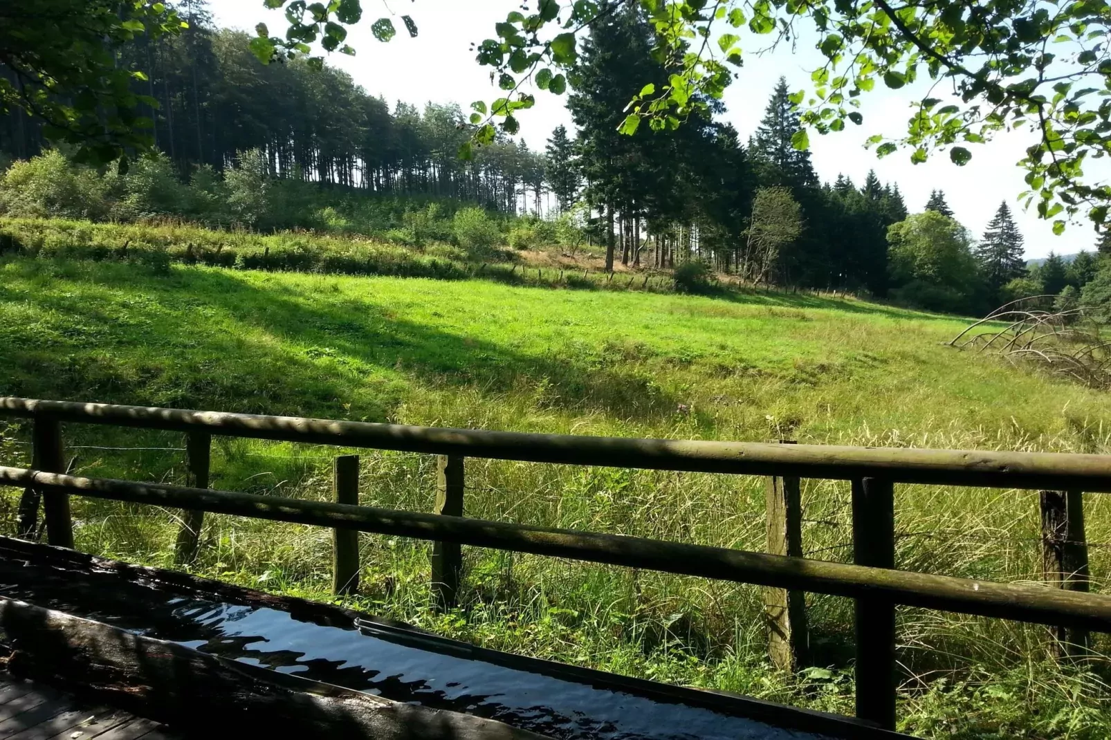 Barbara-Zones été à 1 km