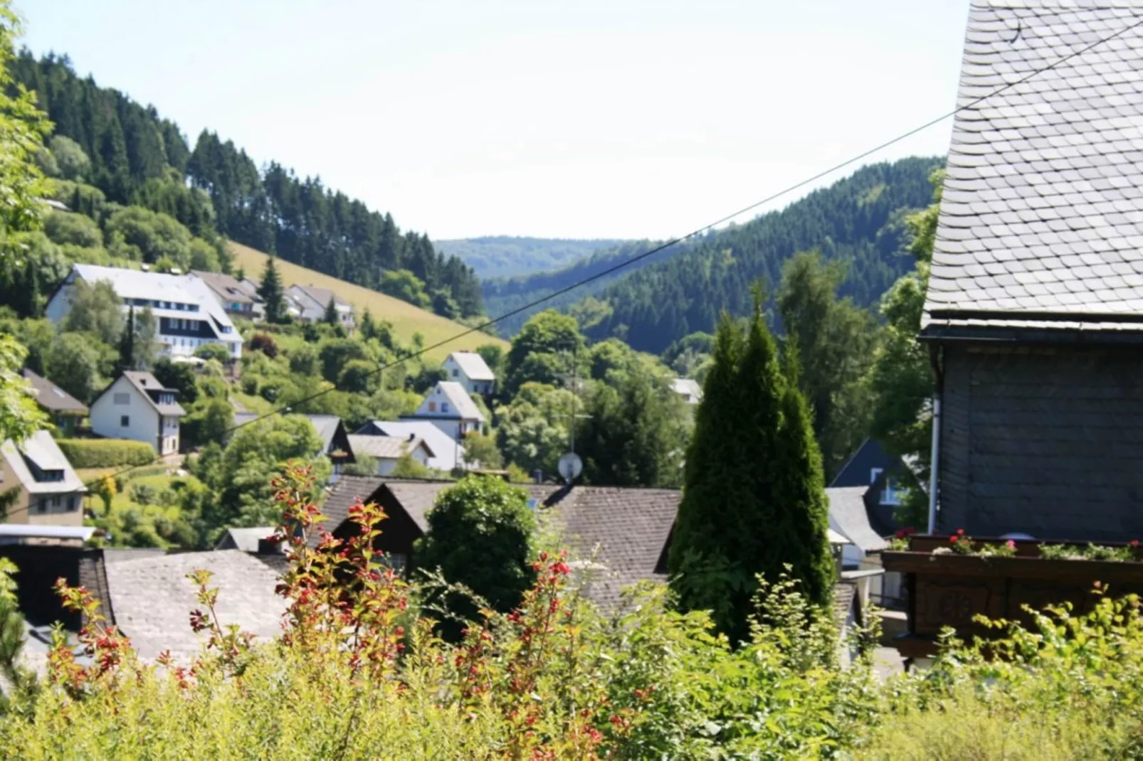 Am Iberg-Areas summer 20km