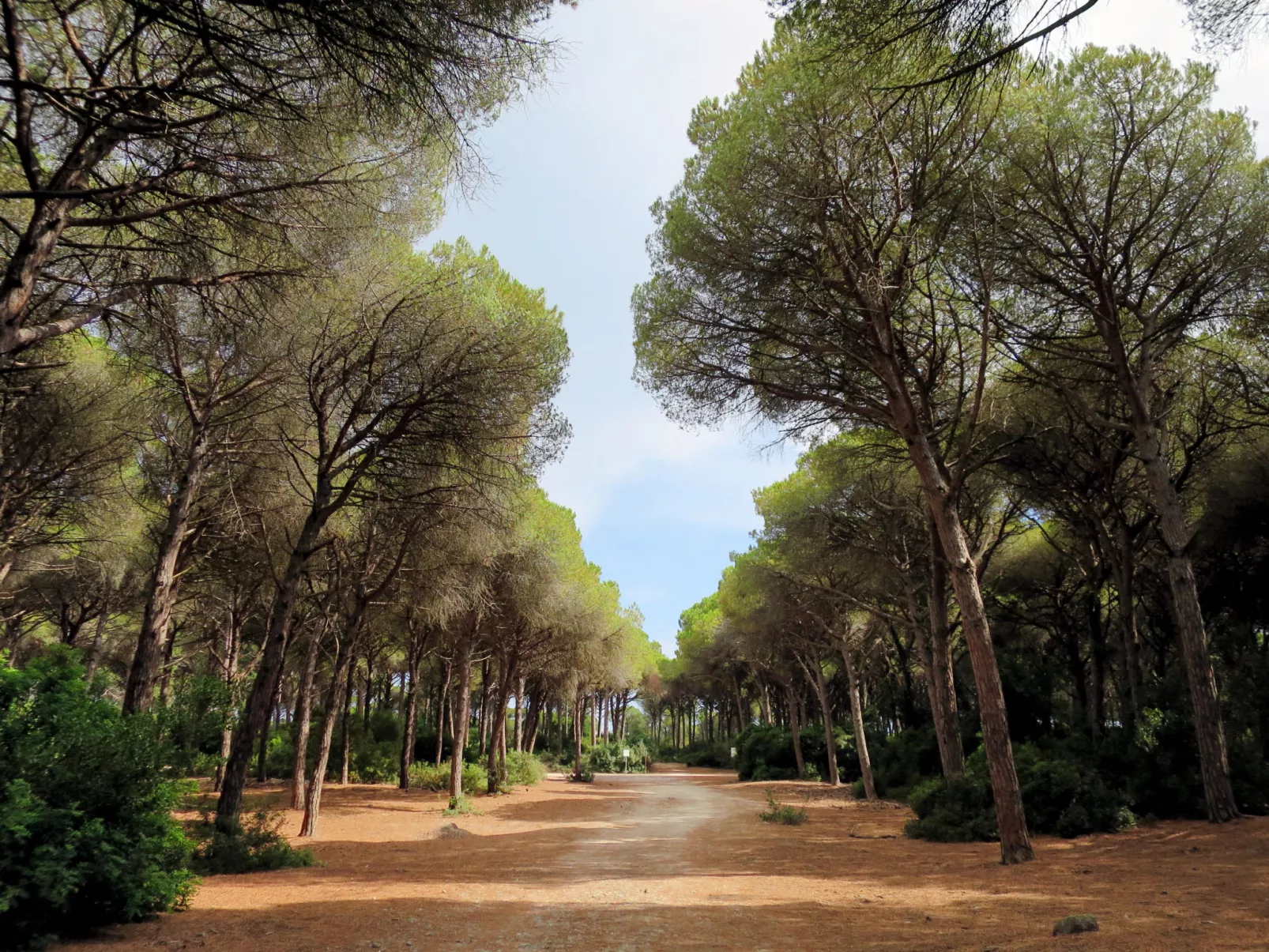 Cala Piccola-Area