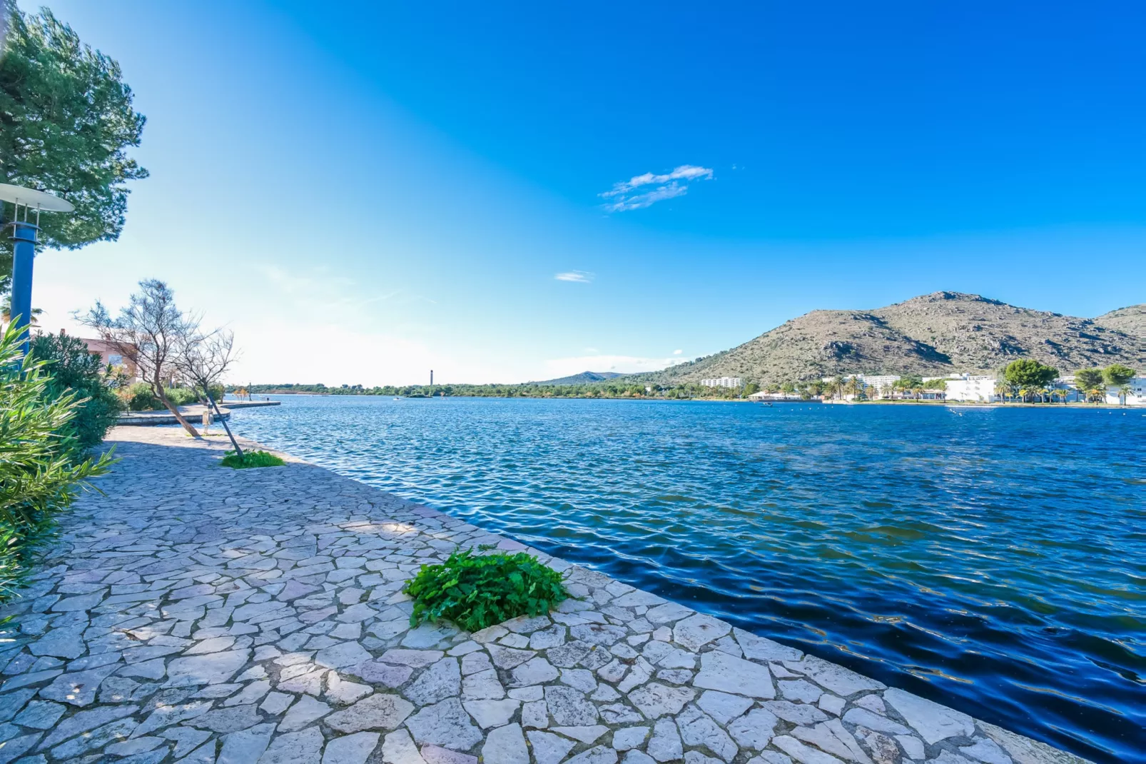 Nenufars-Outdoor