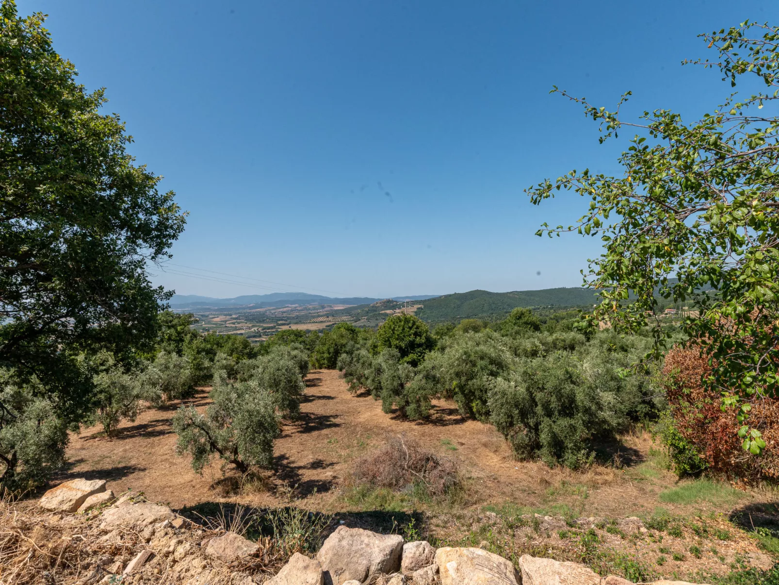 Oasi di benessere Bio-Outside