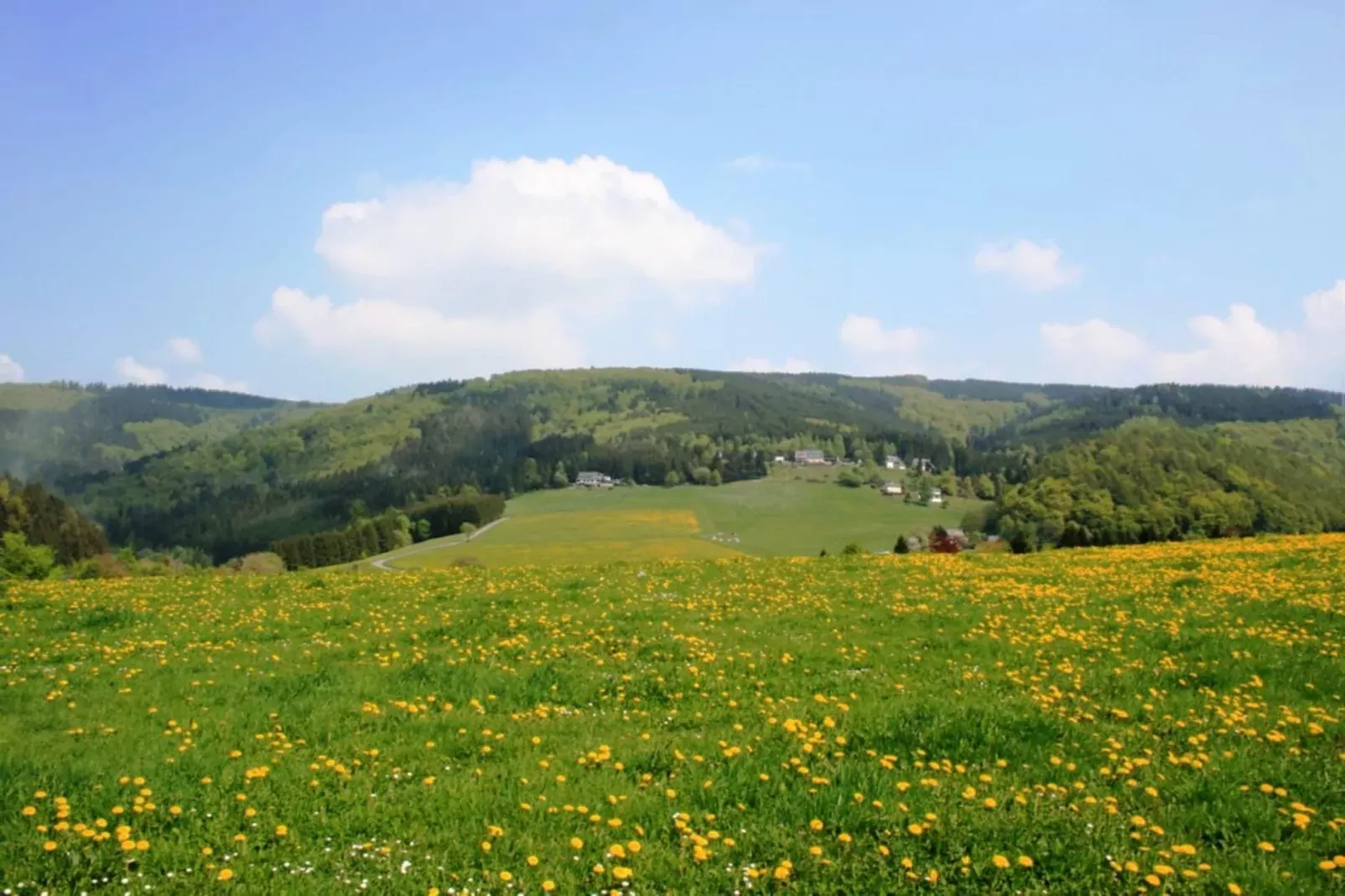 Am Iberg-Garten Sommer