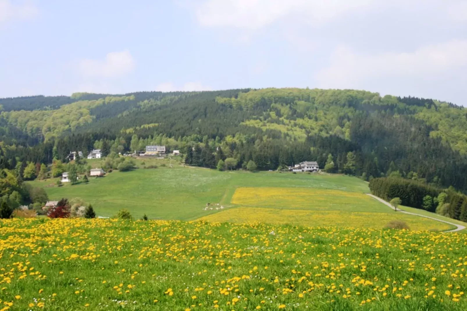 Am Iberg-Gebiete Sommer 5 km