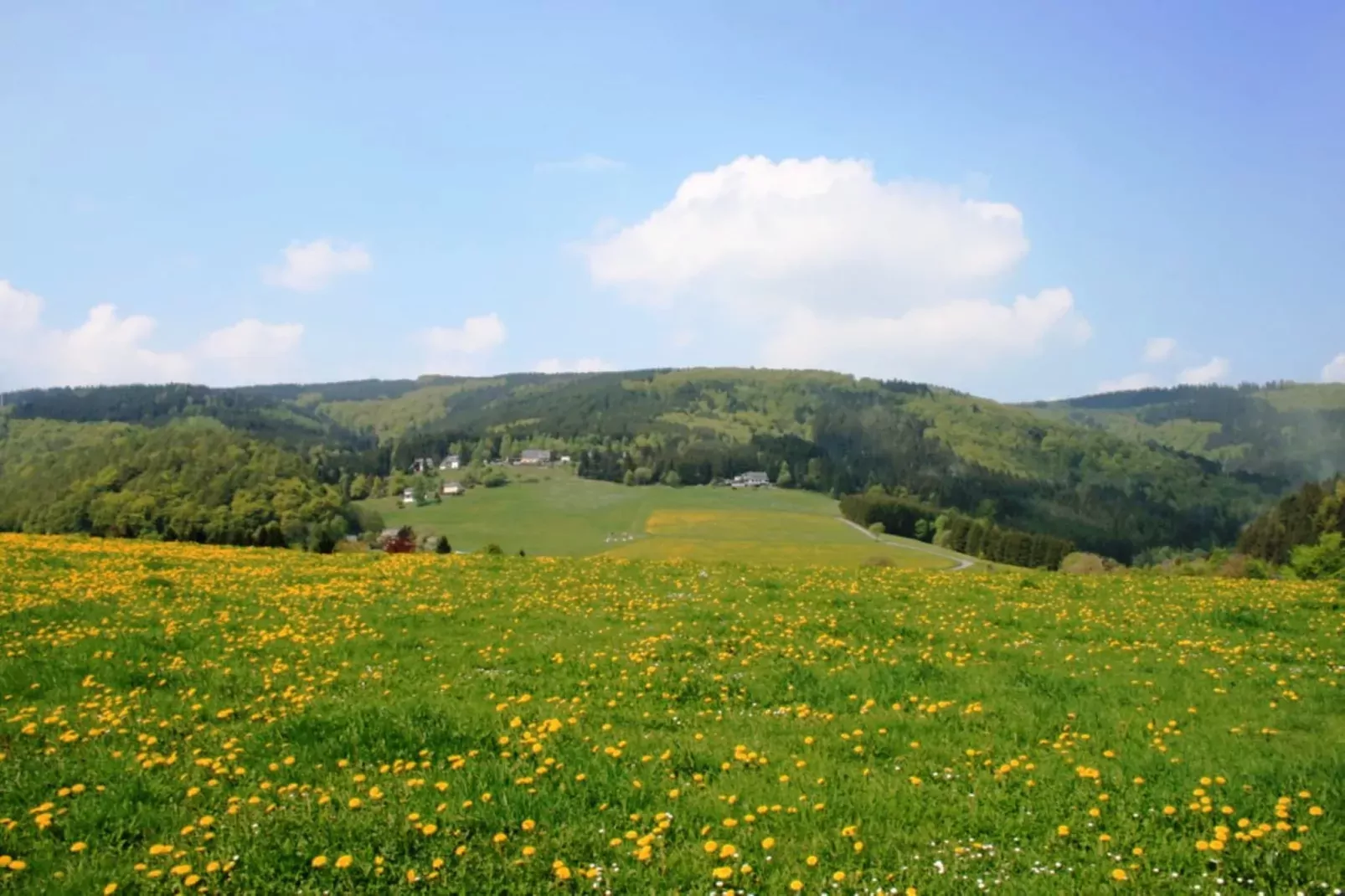 Haus am Iberg-Areas summer 5km