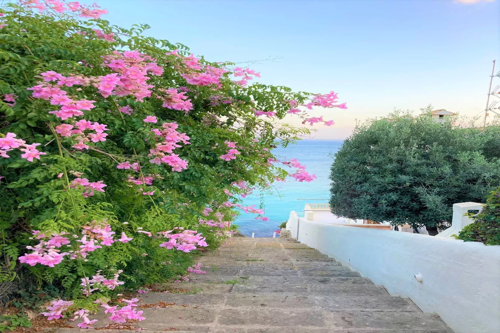 Villa Alcanada 1-Jardin d'été