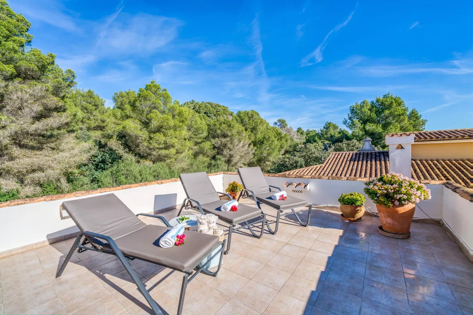 Casa Osborne-Terrace