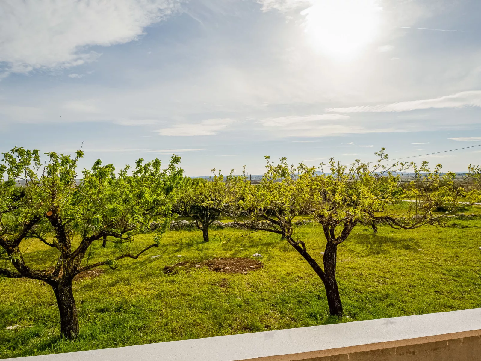 Villa Laura-Outside
