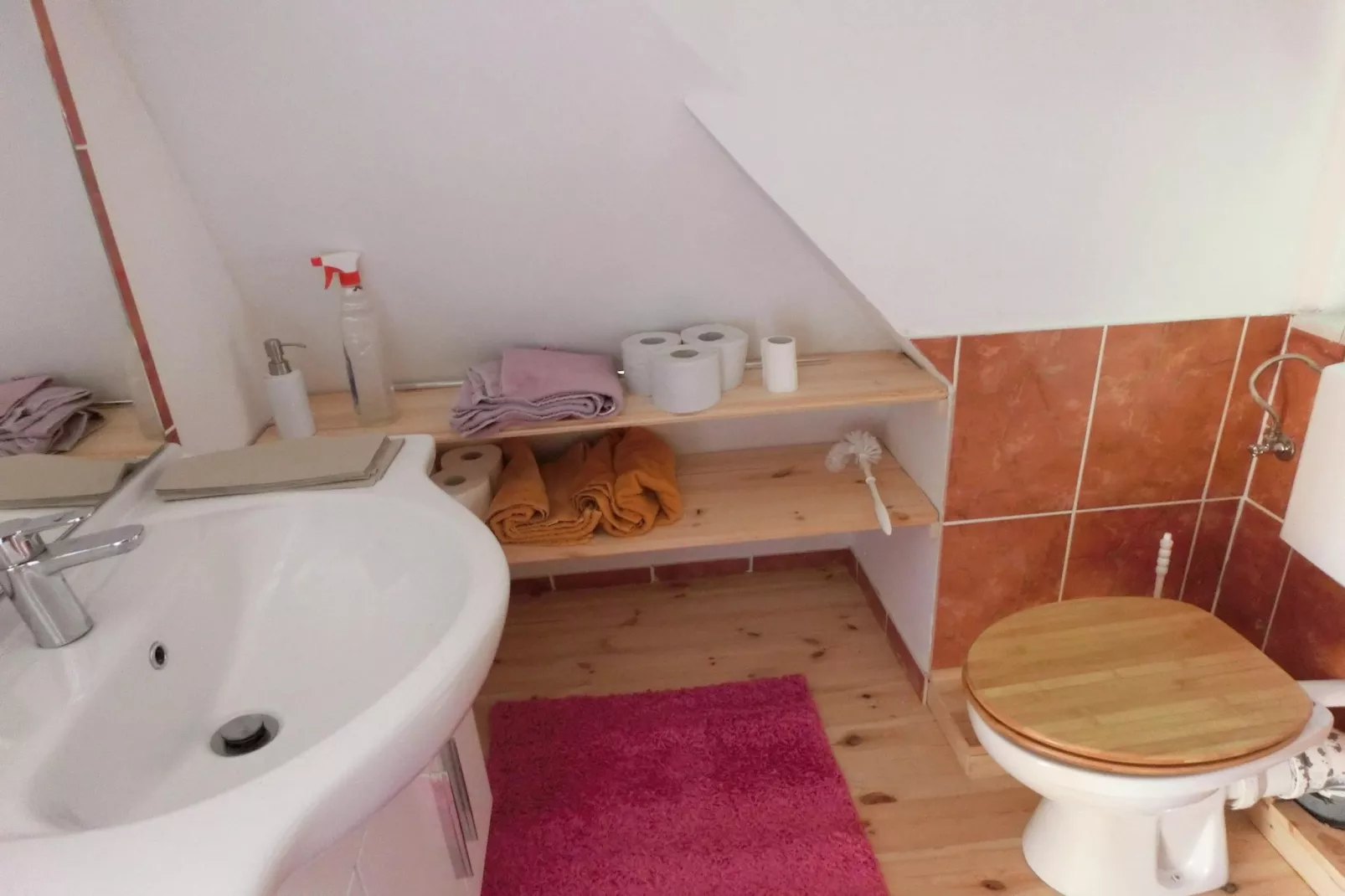 Spiegeltal-Bathroom