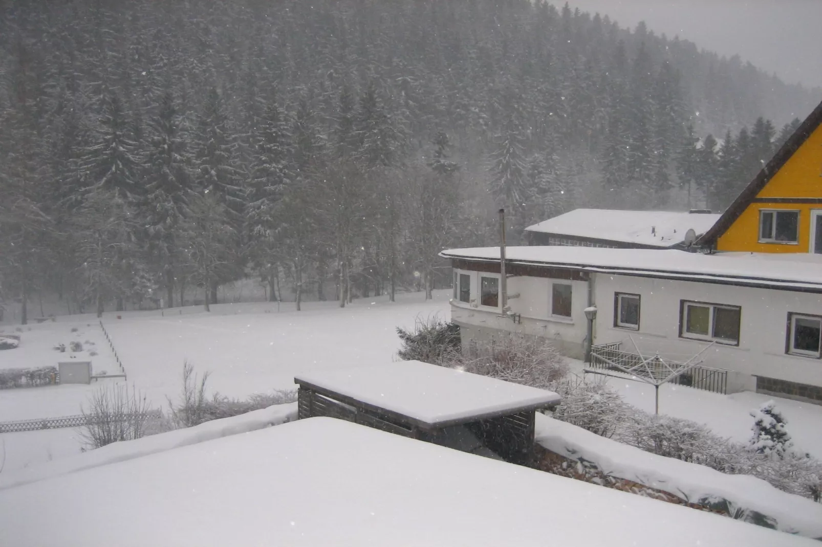 Wildemann-View winter