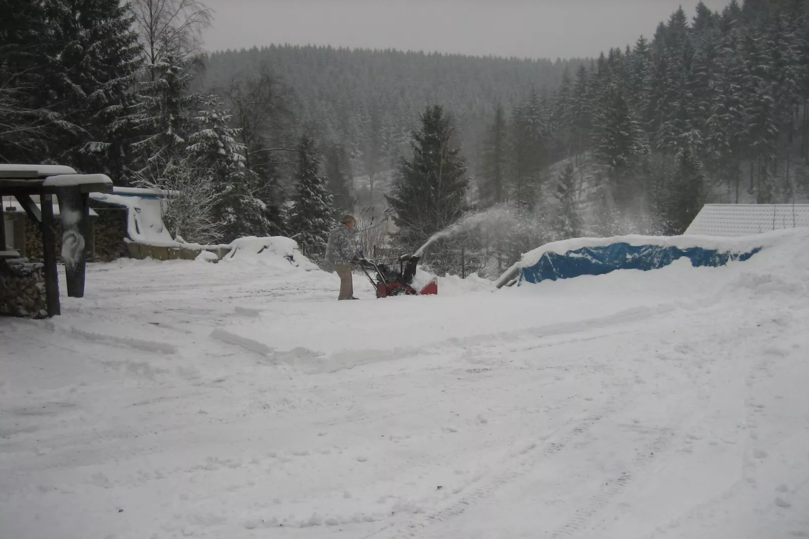 Wildemann-View winter