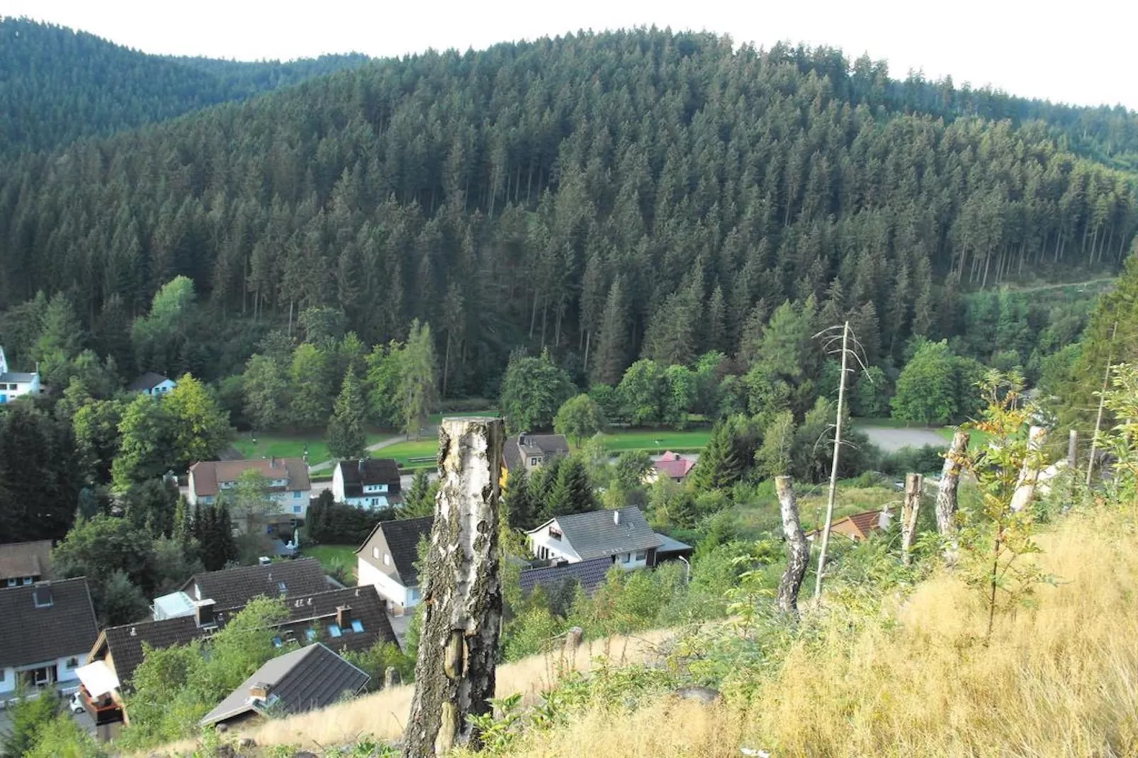 Wildemann-Areas summer 5km