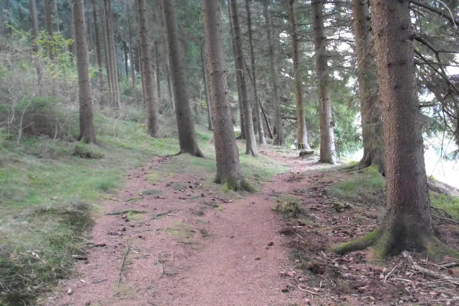 Wildemann-Areas summer 5km