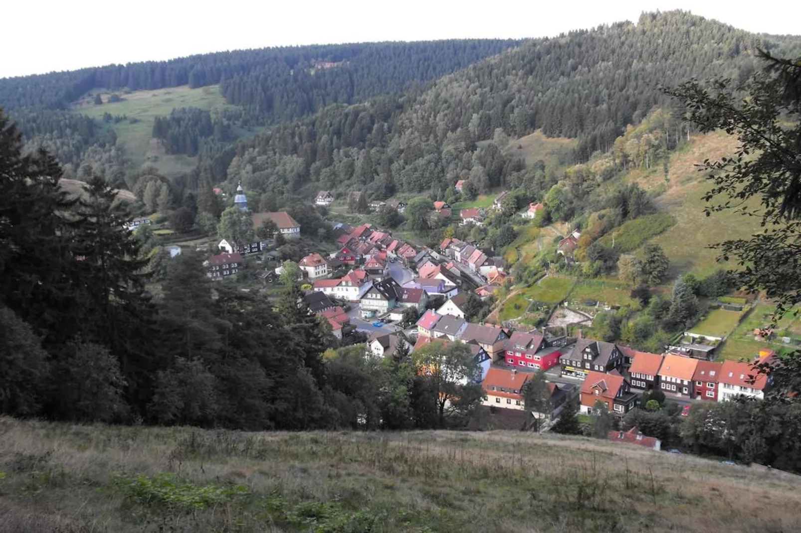 Wildemann-Areas summer 20km
